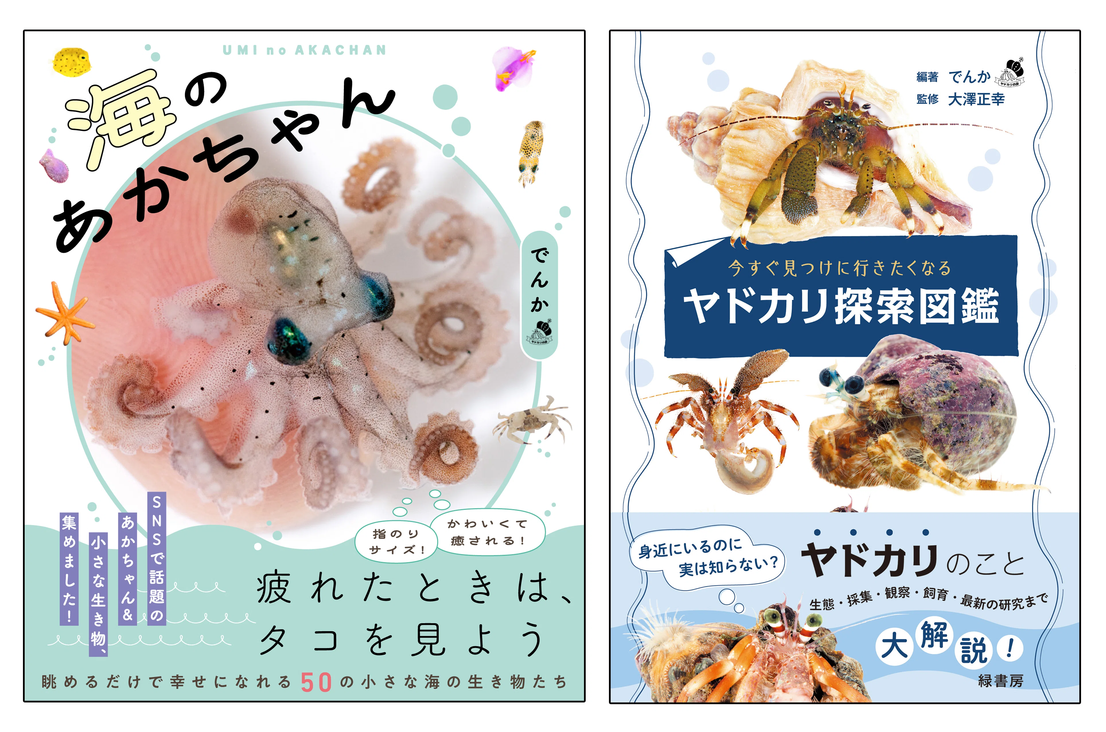 海の無脊椎動物たちトークイベント！／でんか＆むせきつい屋さん 出版
