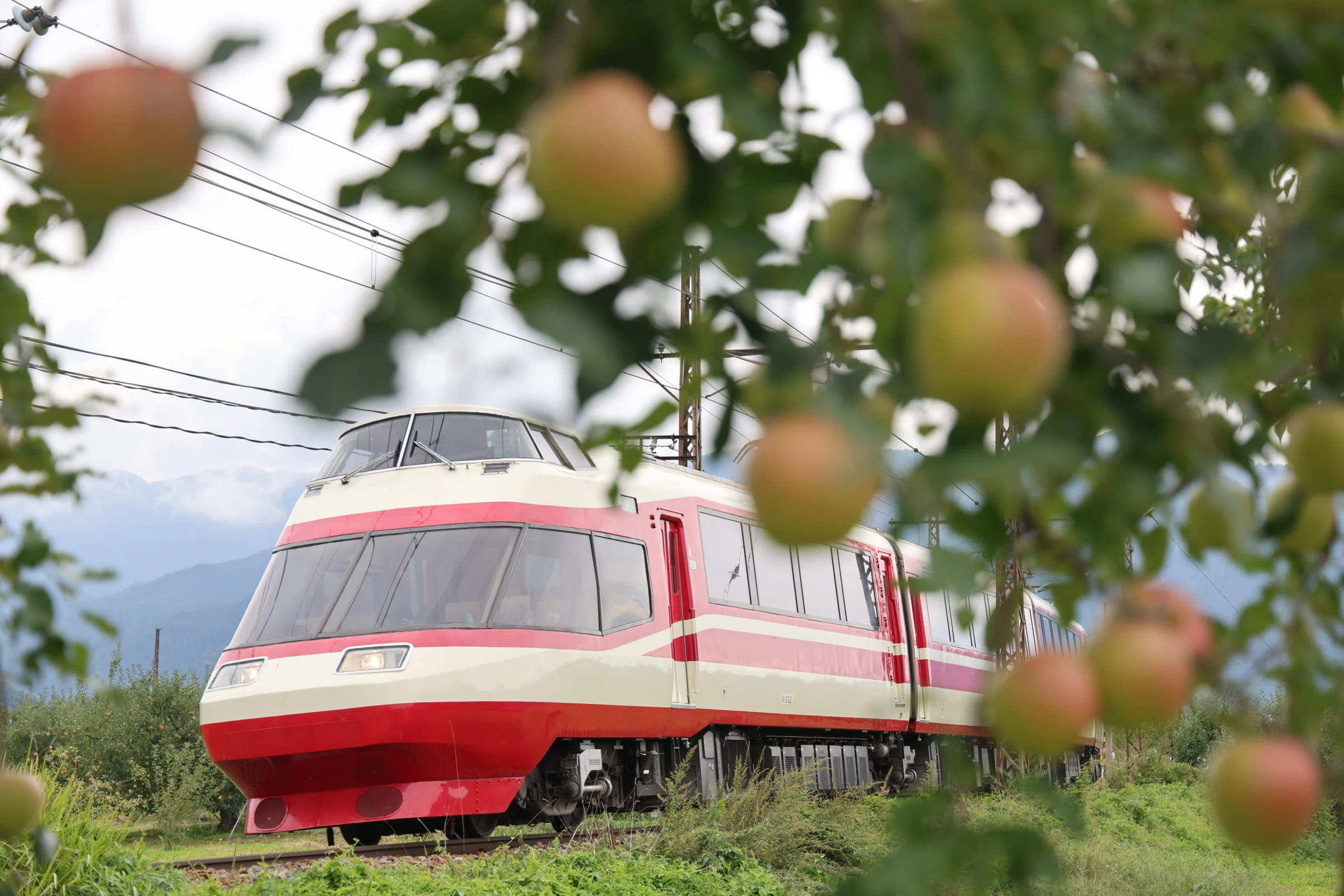 長野電鉄は毎日リバイバル運転。｜kenzy201《鉄道×キャッシュレス》