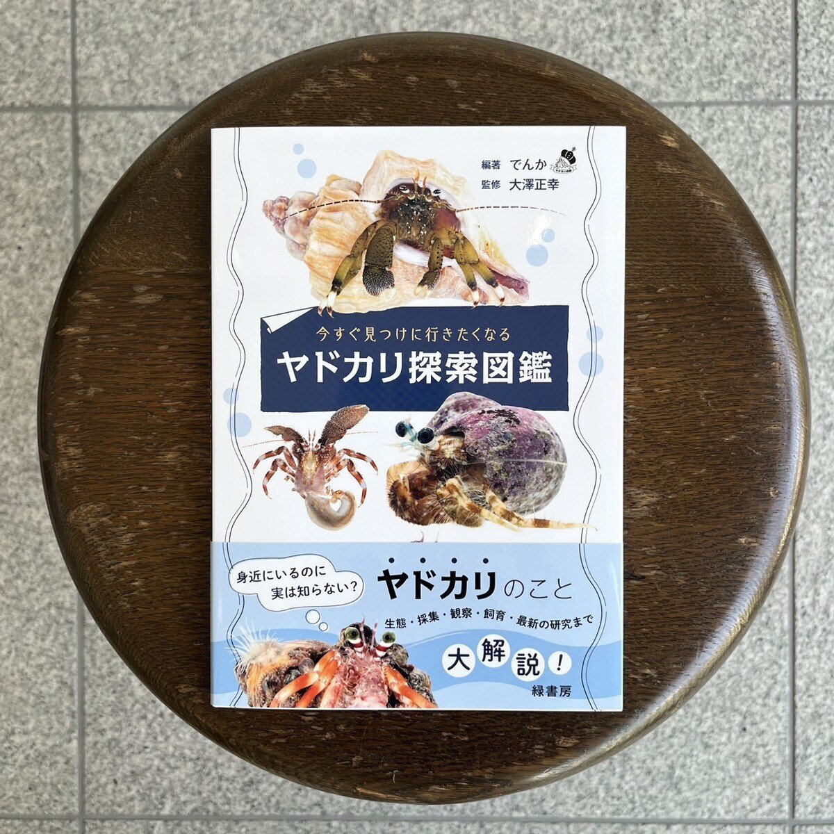 海産無脊椎動物多様性学 100年の歴史とフロンティア ヨドバシ.com - 海産無脊椎動物多様性学―100年の歴史と