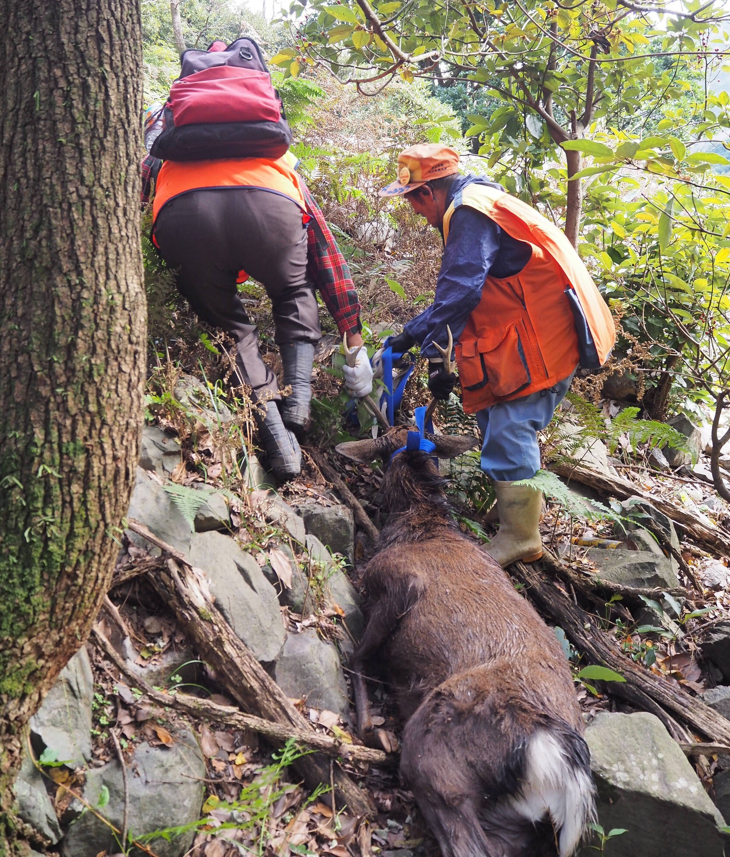 生活のためにクマを撃つ」岐阜県郡上市に本物のマタギがいた｜中山道雄