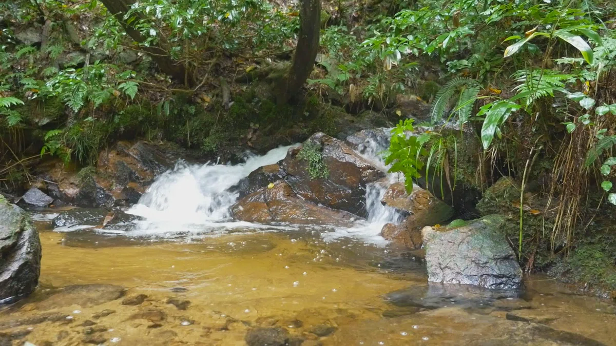 ただ、この場所が好きだから。「奥びわ湖・山門水源の森」と手を繋ぐように。|good sign 未来につなぐ、よいきざし。