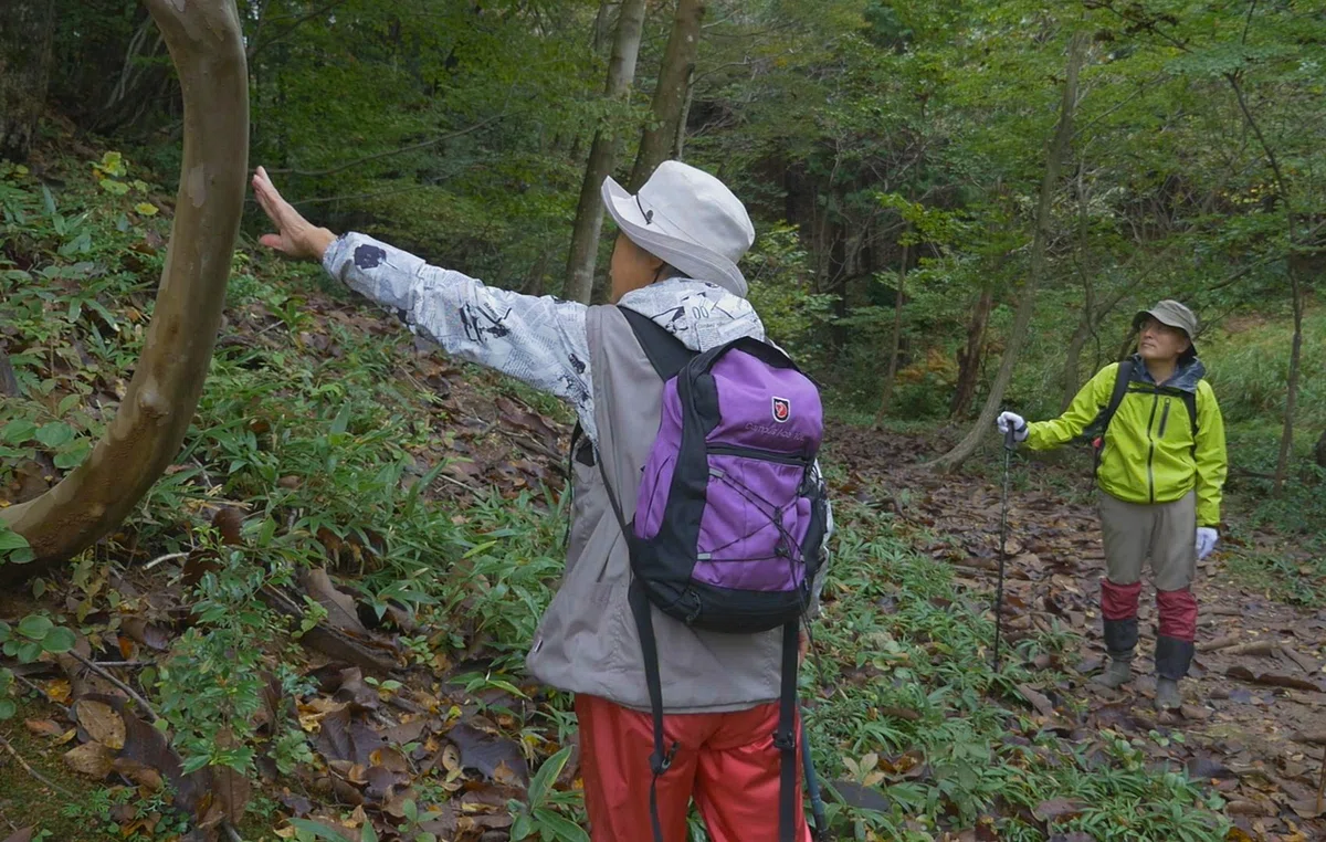 ただ、この場所が好きだから。「奥びわ湖・山門水源の森」と手を繋ぐように。|good sign 未来につなぐ、よいきざし。