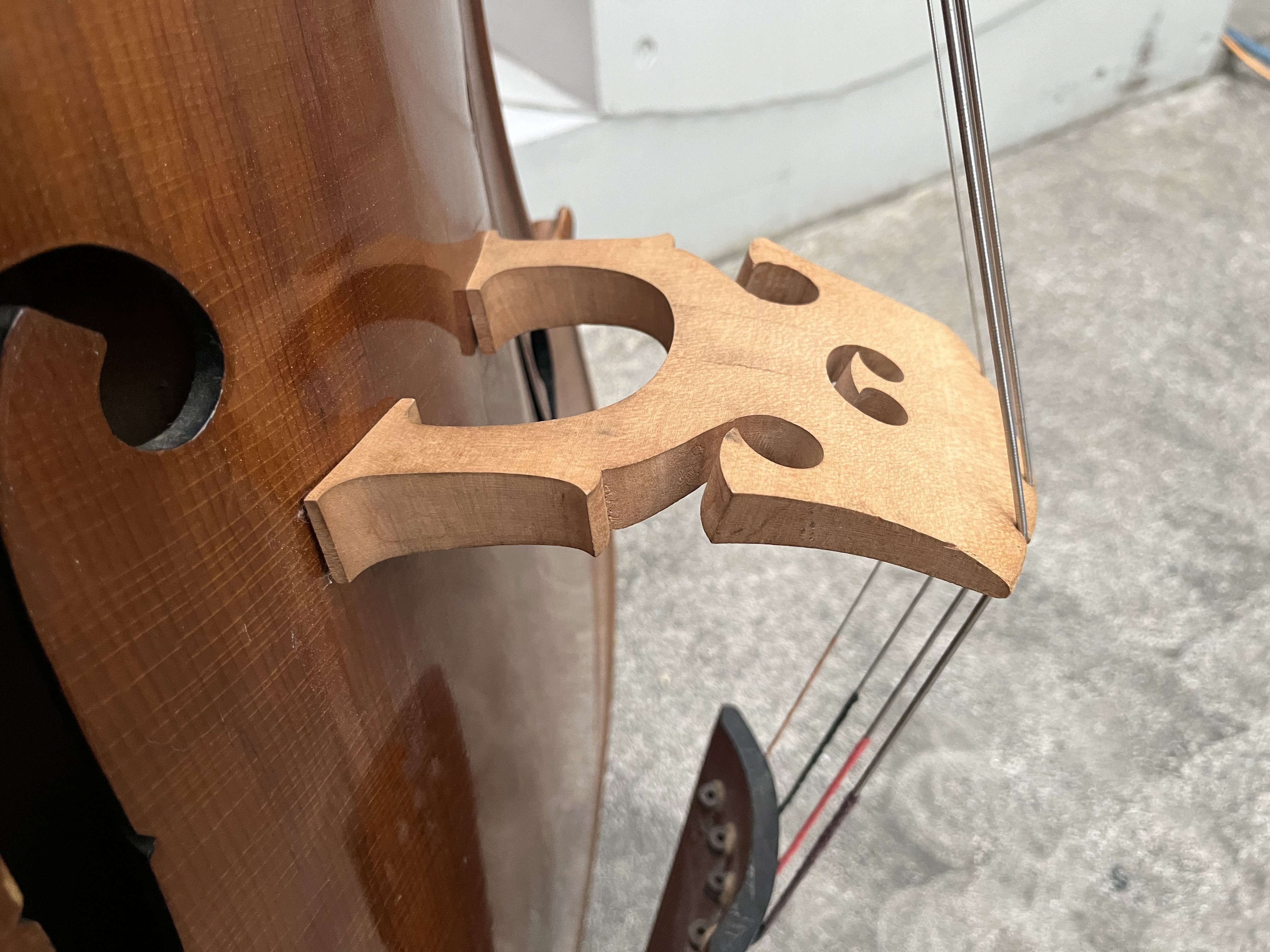 コントラバス(ジャンク)購入！｜octopus