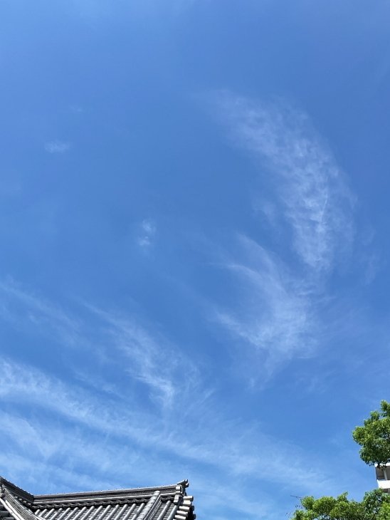 雲の上 TOPAZ102 on X: 