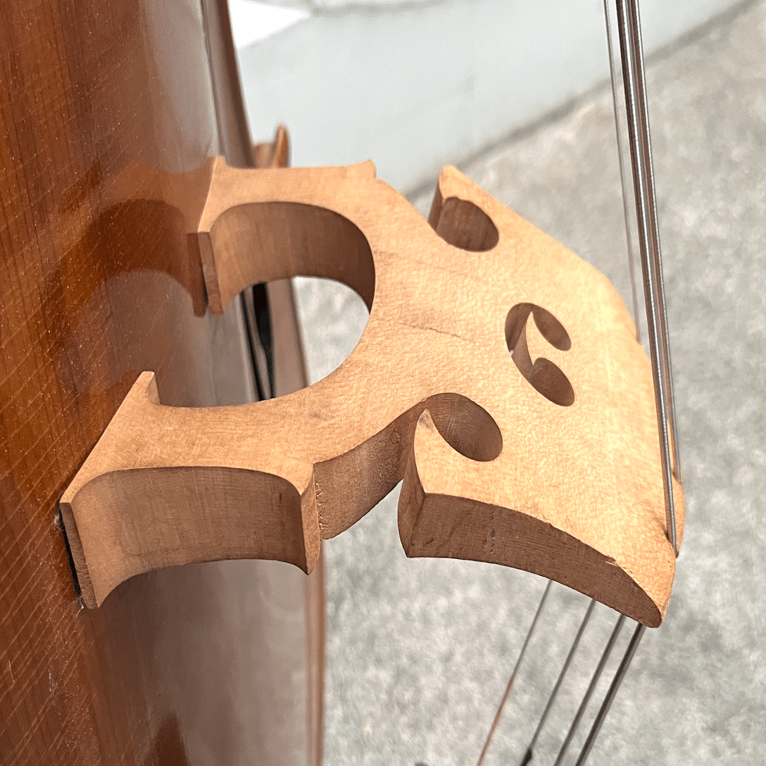 コントラバス(ジャンク)購入！｜octopus