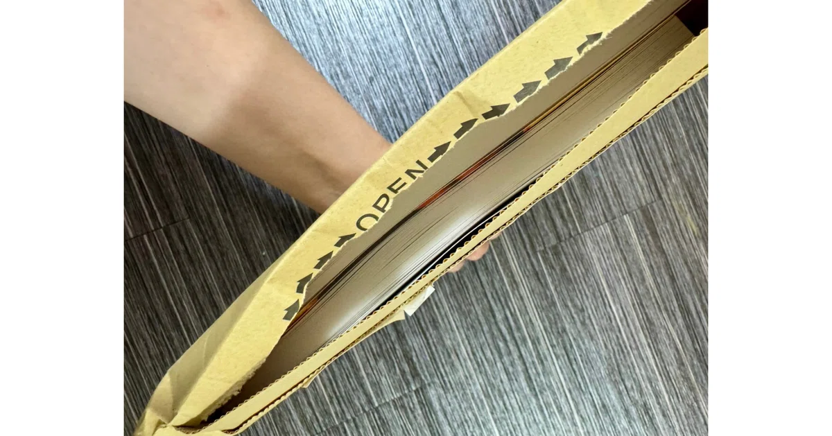 Amazon KDPから届いたペーパーバック本。厚みのある段ボール封筒にまとめて梱包され、郵便受けに投函された直後の様子。