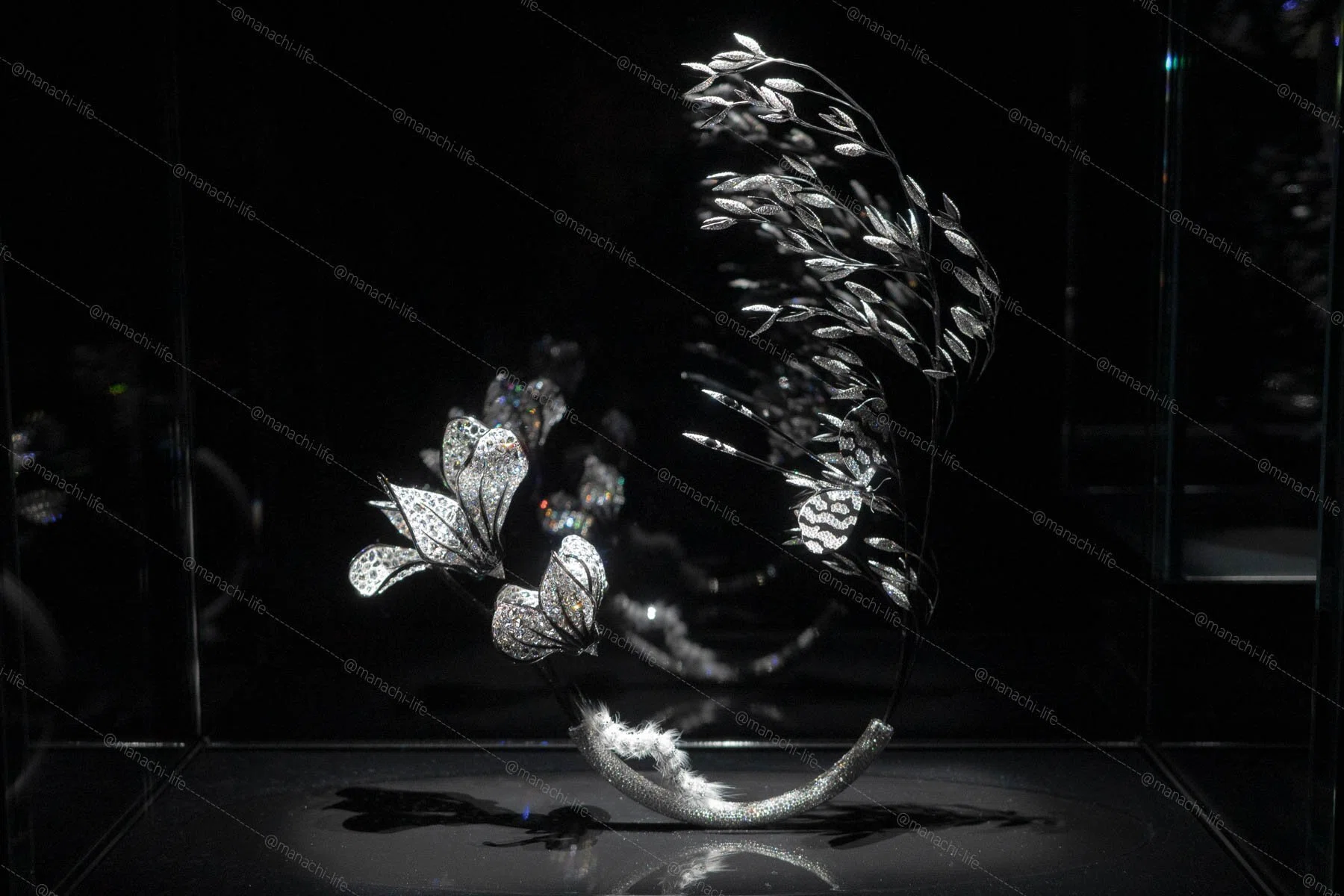 ブシュロン ハイジュエリー展「IMPERMANENCE」2025｜漆黒のポピーから
