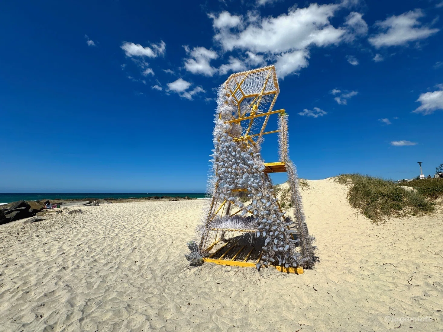 ゴールドコースト】 Swell Sculpture Festival 海辺の野外彫刻展へ｜Rui