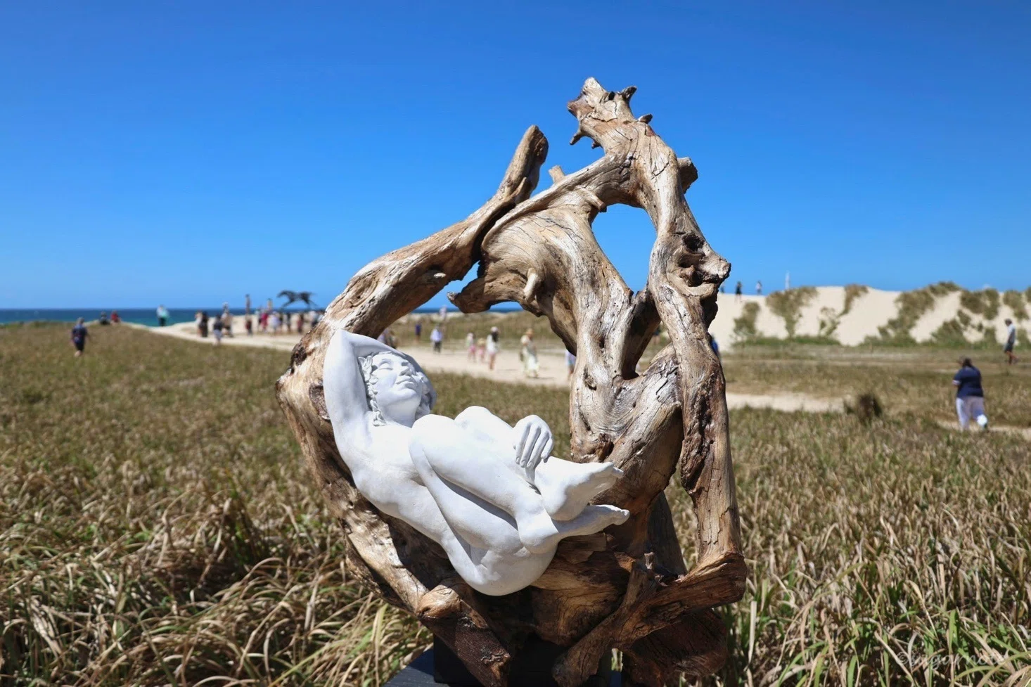 ゴールドコースト】 Swell Sculpture Festival 海辺の野外彫刻展へ｜Rui