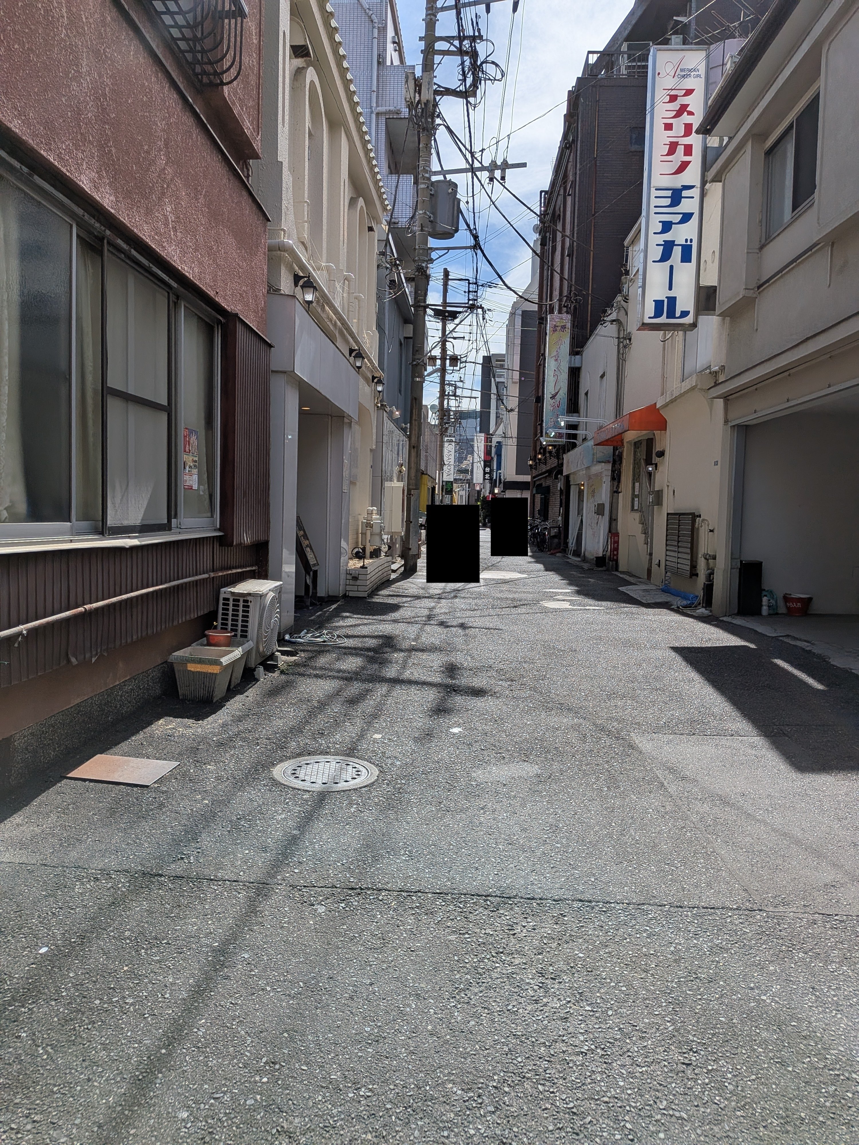 久しぶりの高級店でハズレでした｜ゴジラ