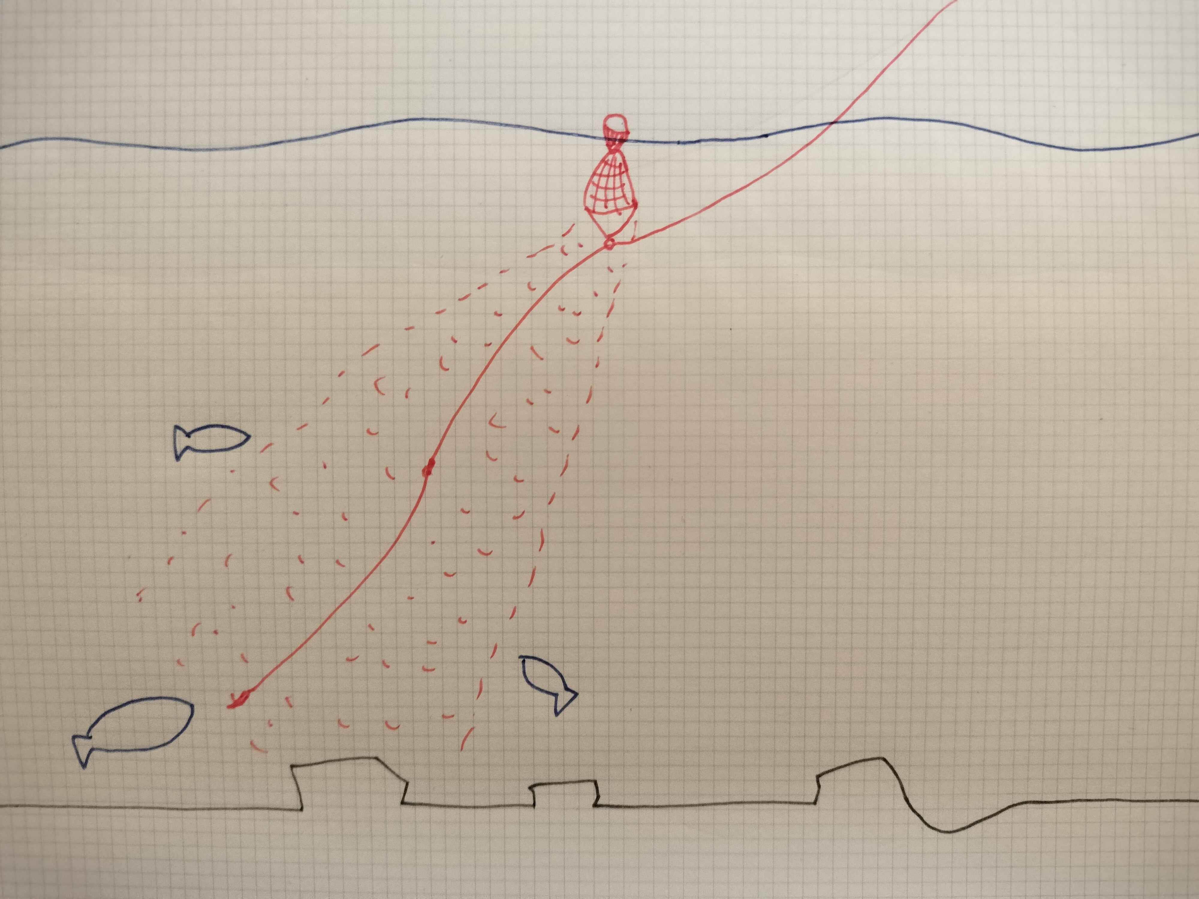 図解】スルカゴ釣り完全ガイド｜ウキ止め不要！初心者のための仕掛けと