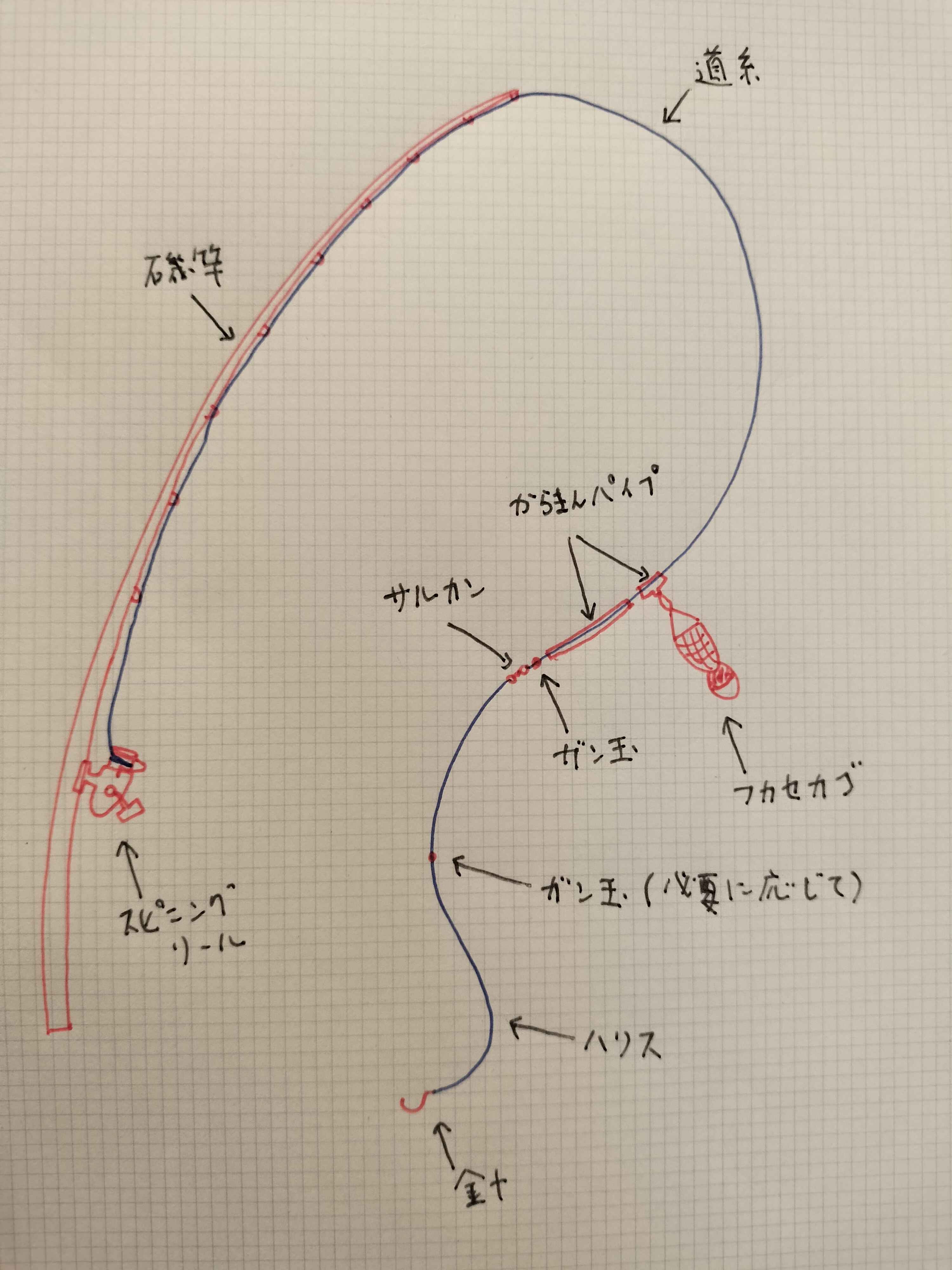 図解】スルカゴ釣り完全ガイド｜ウキ止め不要！初心者のための仕掛けと
