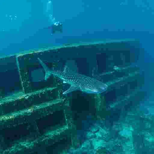 海底遺跡 （与那国島 風） 写真素材（サンプル）011