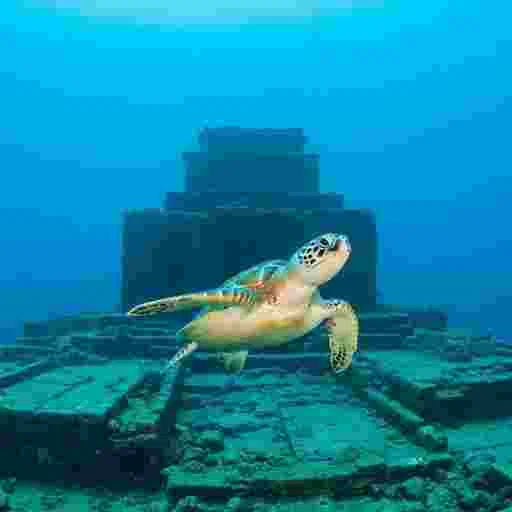 海底遺跡 （与那国島 風） 写真素材（サンプル）027