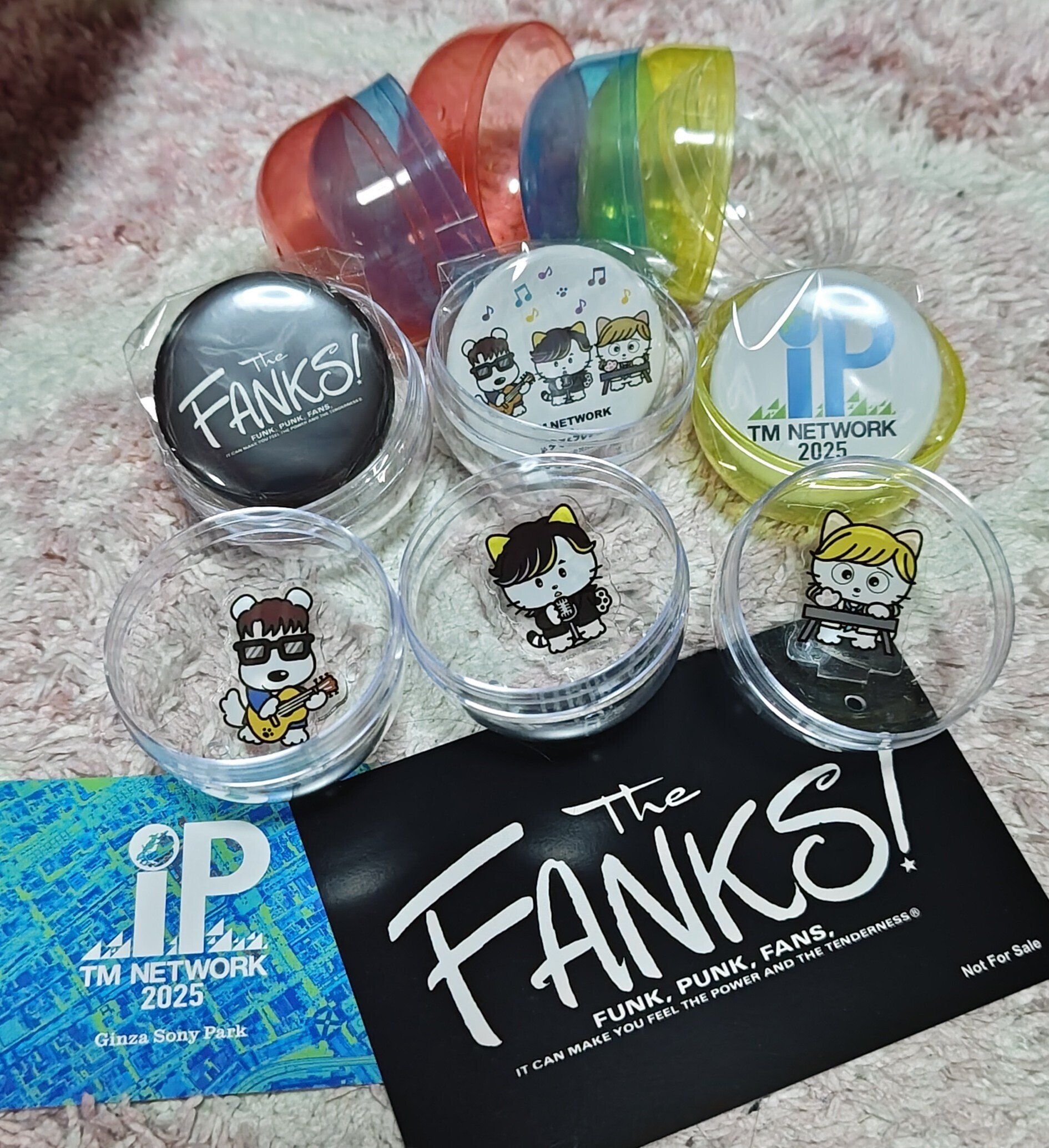 TMNETWORK2025IP行ってきた😸｜かのんマム