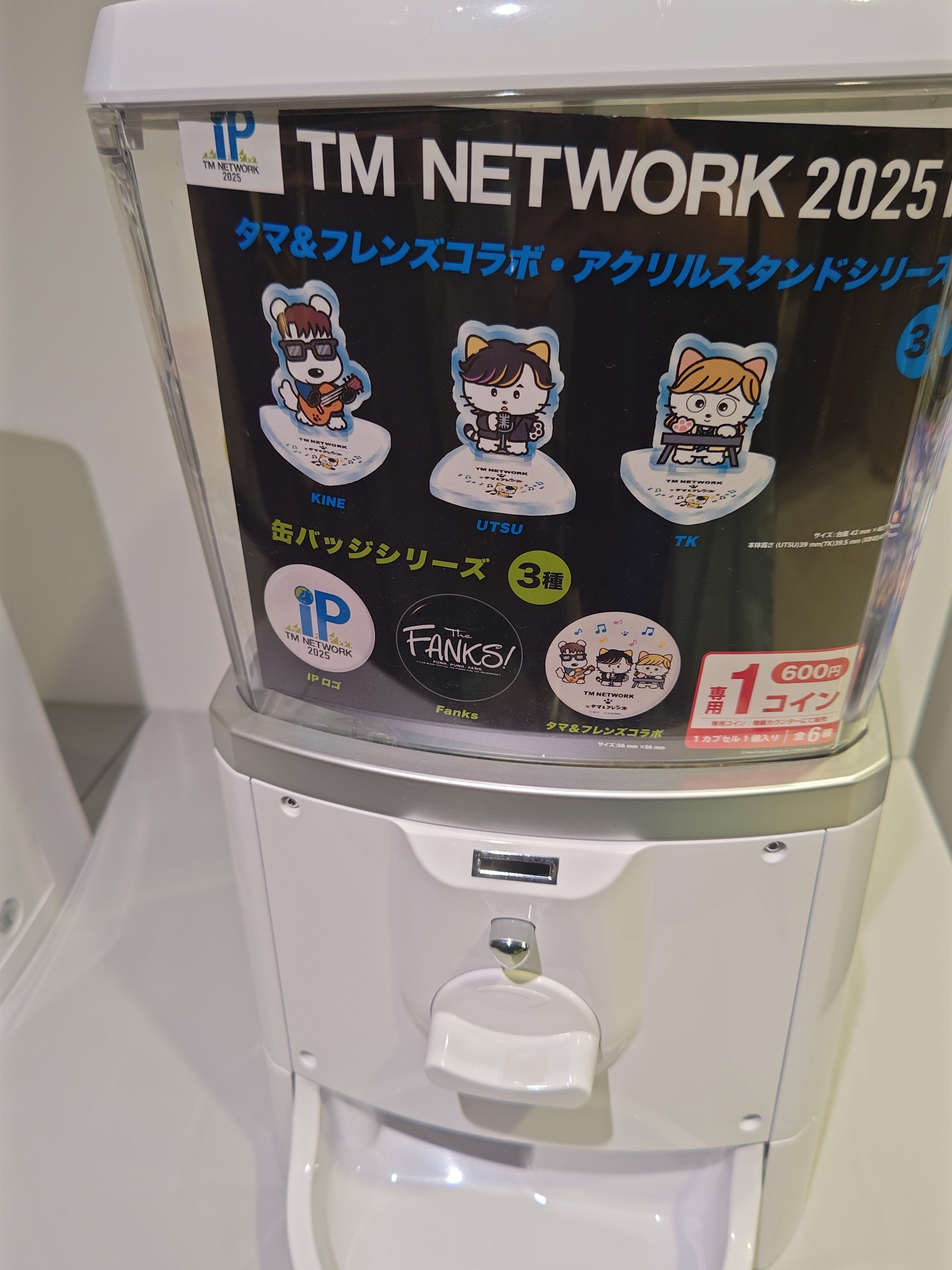 TMNETWORK2025IP行ってきた😸｜かのんマム
