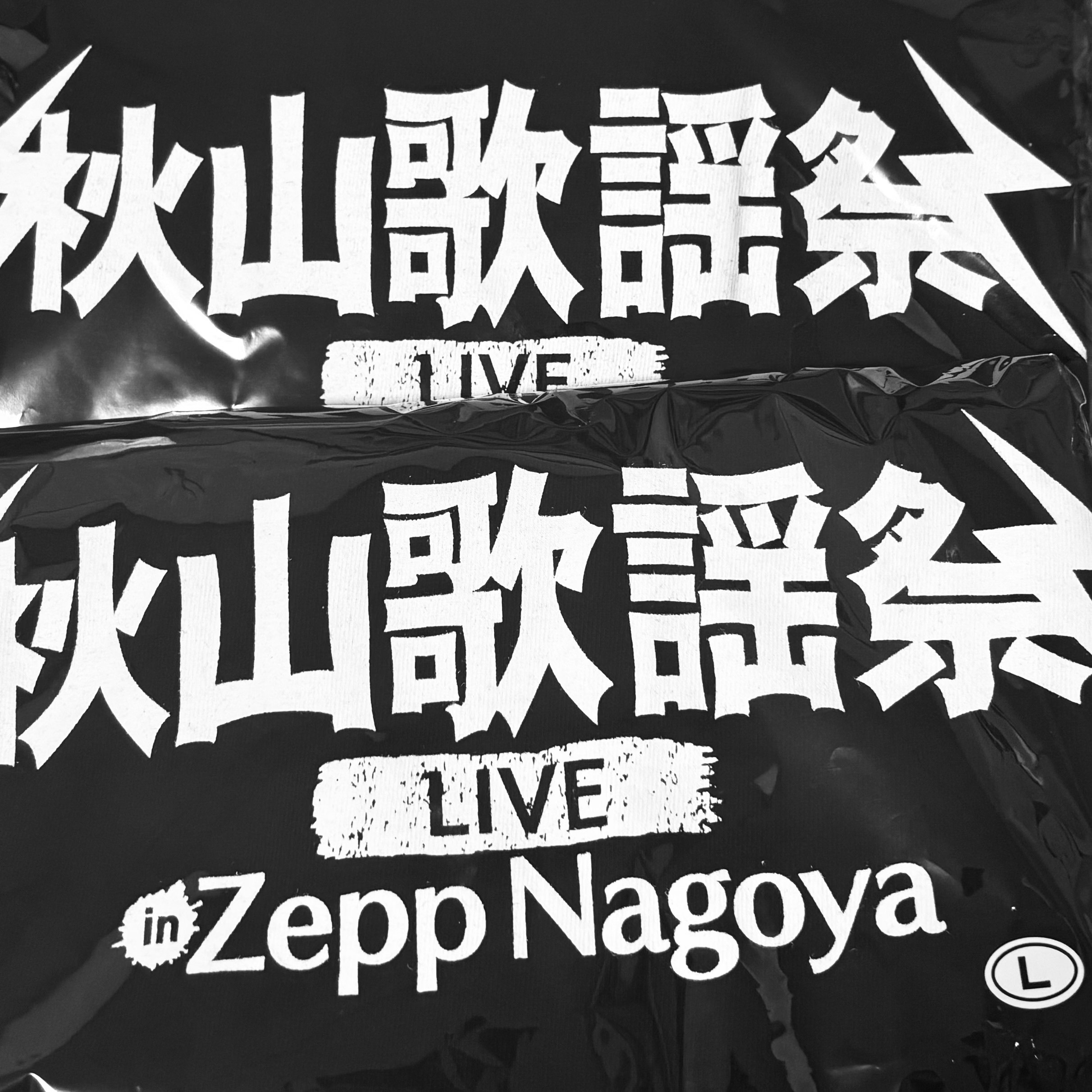 秋山歌謡祭ライブ2025参戦！ 私の幸せすぎる約6時間｜うどん