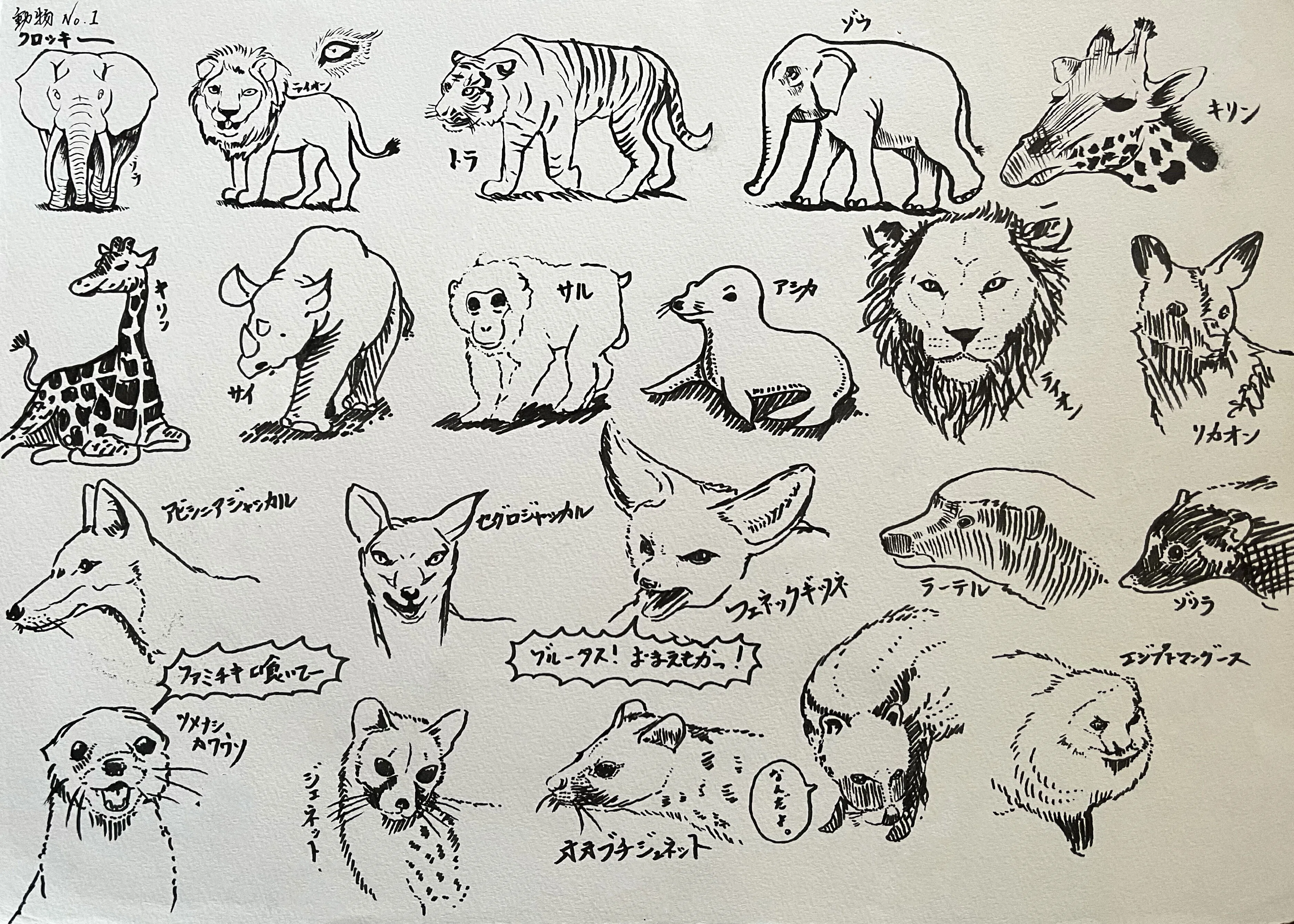 動物クロッキー10枚 【その1】｜鹿角時計