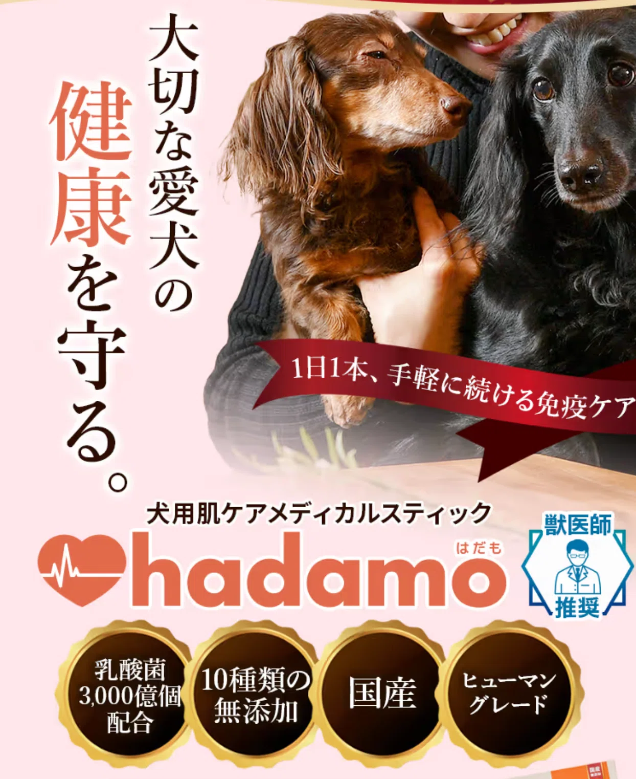 hadamoという犬用メディカルおやつがオススメすぎる！｜ユウキxミサキ