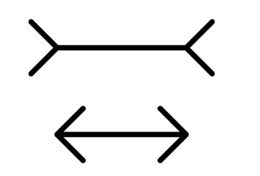 心理学レポート＞ミュラーリヤーの錯視実験 ～心理学実験1〜｜sean