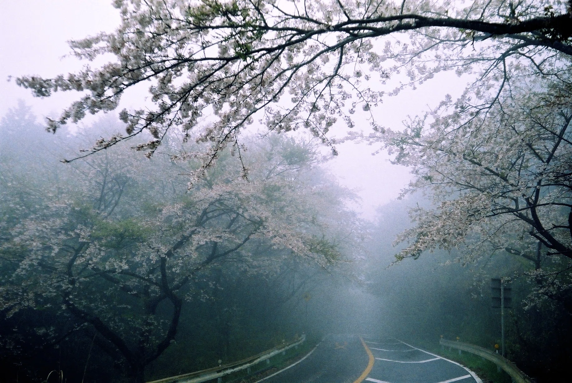 廉価版でも侮れない Rollei B35｜ema_photo