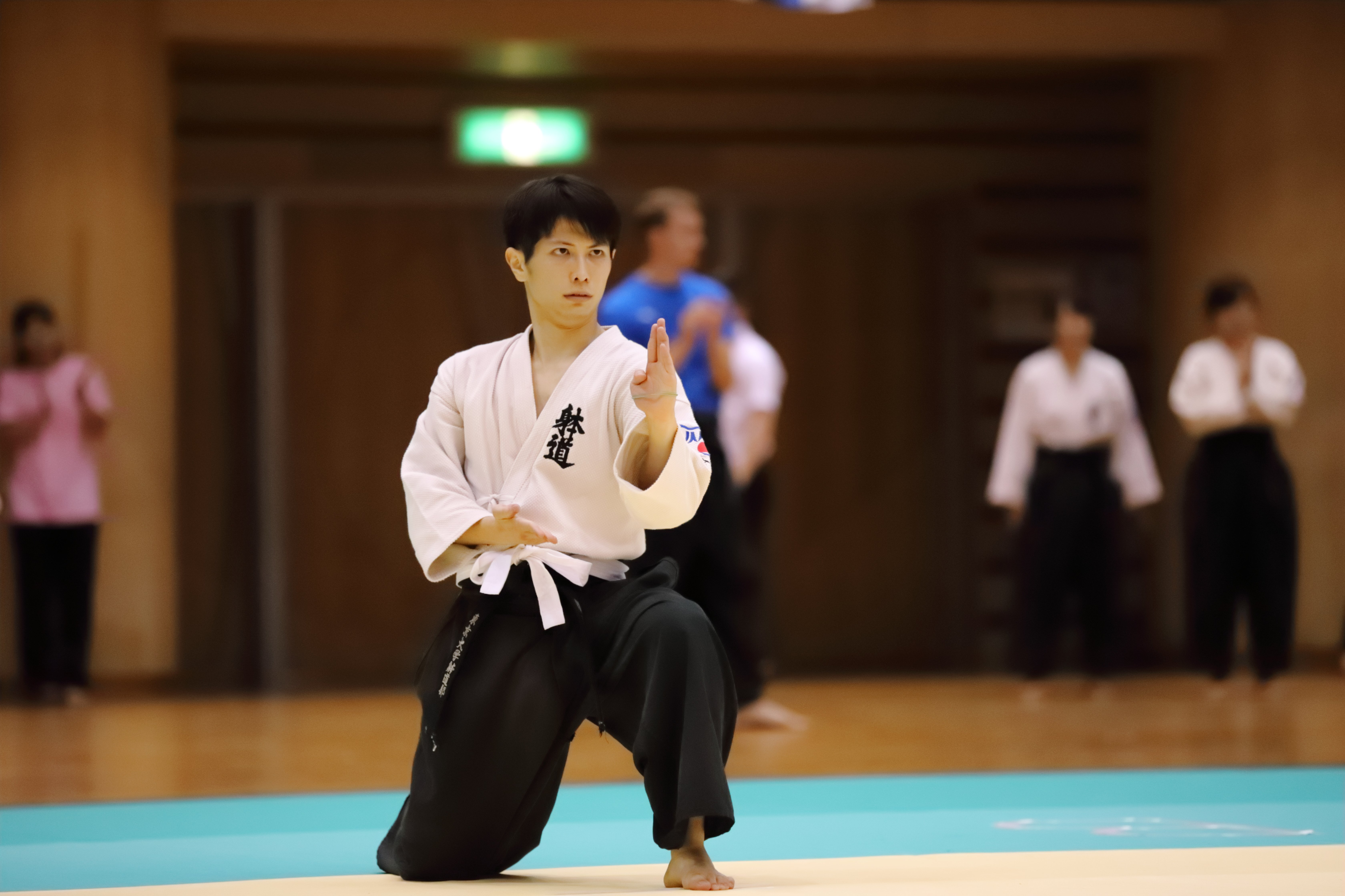 躰道概論 躰道概論 祝嶺正献 著 躰道概論(祝嶺正献 ) / 古本、中古本、