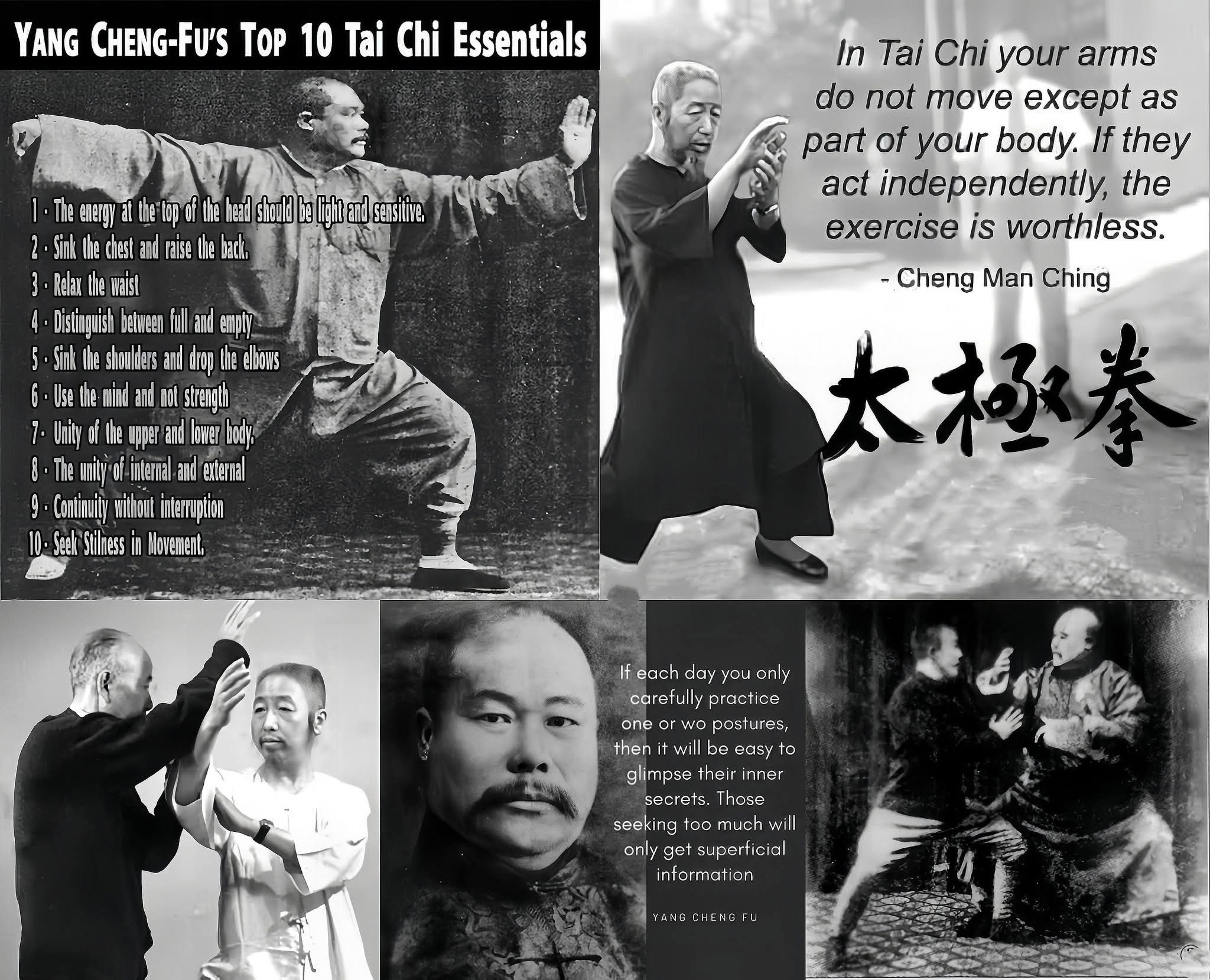 技で分析してみる！楊式太極拳と鄭子太極拳の違い｜太極気功養生教室