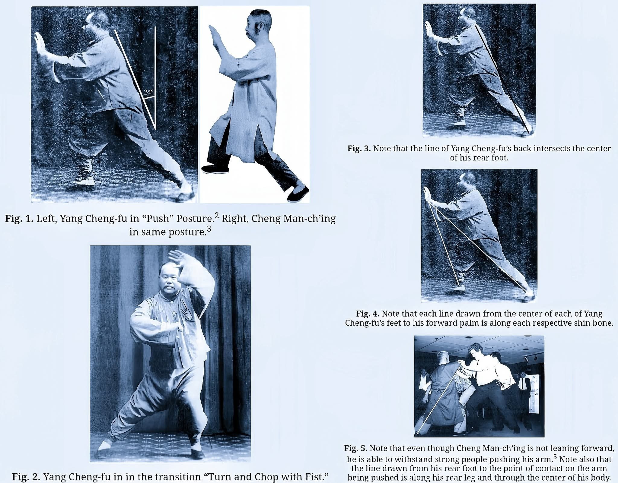 技で分析してみる！楊式太極拳と鄭子太極拳の違い｜太極気功養生教室