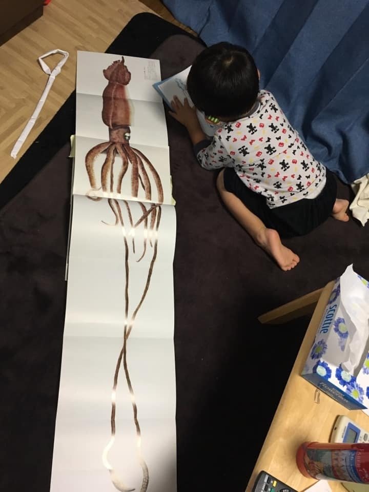 企画展＞烏賊絵画展 #イカ展｜なるかわしんご