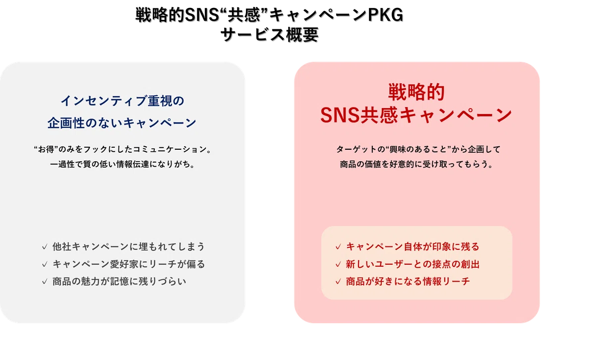 SNSキャンペーンが持つべき視点～あなたの企業/ブランドのSNS