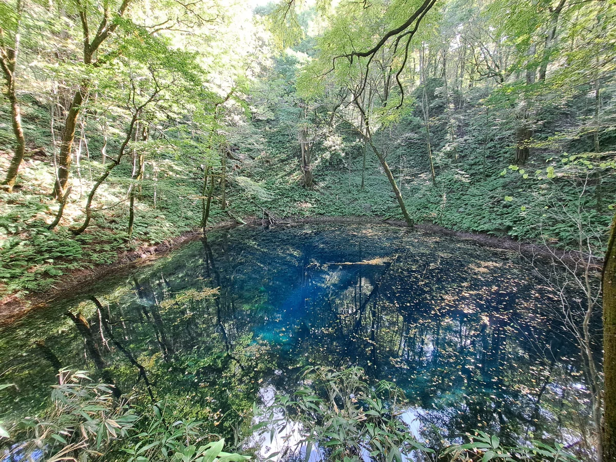画像