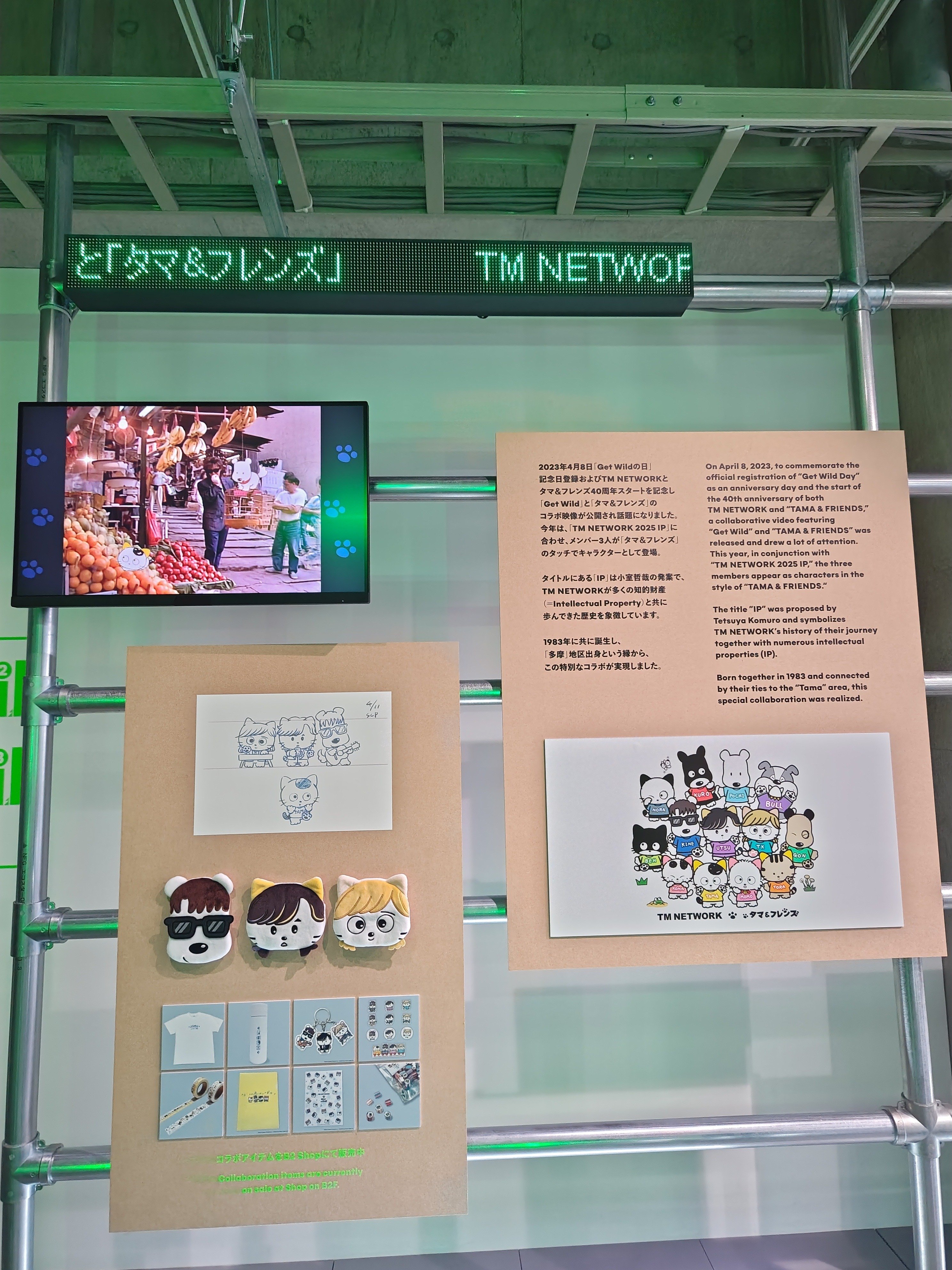 TMNETWORK2025IP行ってきた😸｜かのんマム