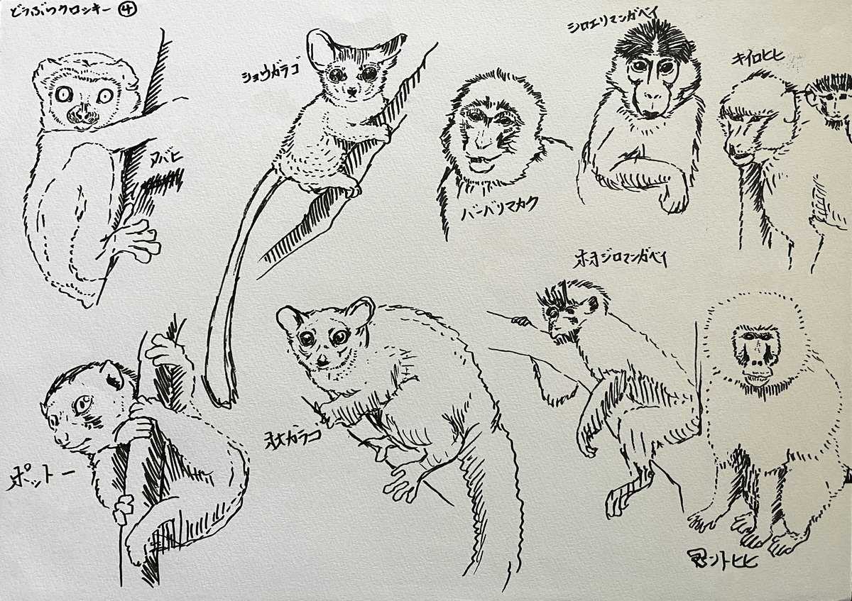 イラスト作品　クロッキー Sketching practice video] 20.01.07 Example: Ballerina