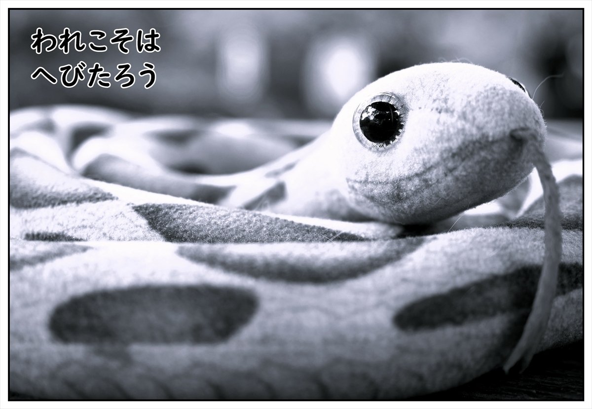 われこそは、へびたろう｜たぬき写真工房