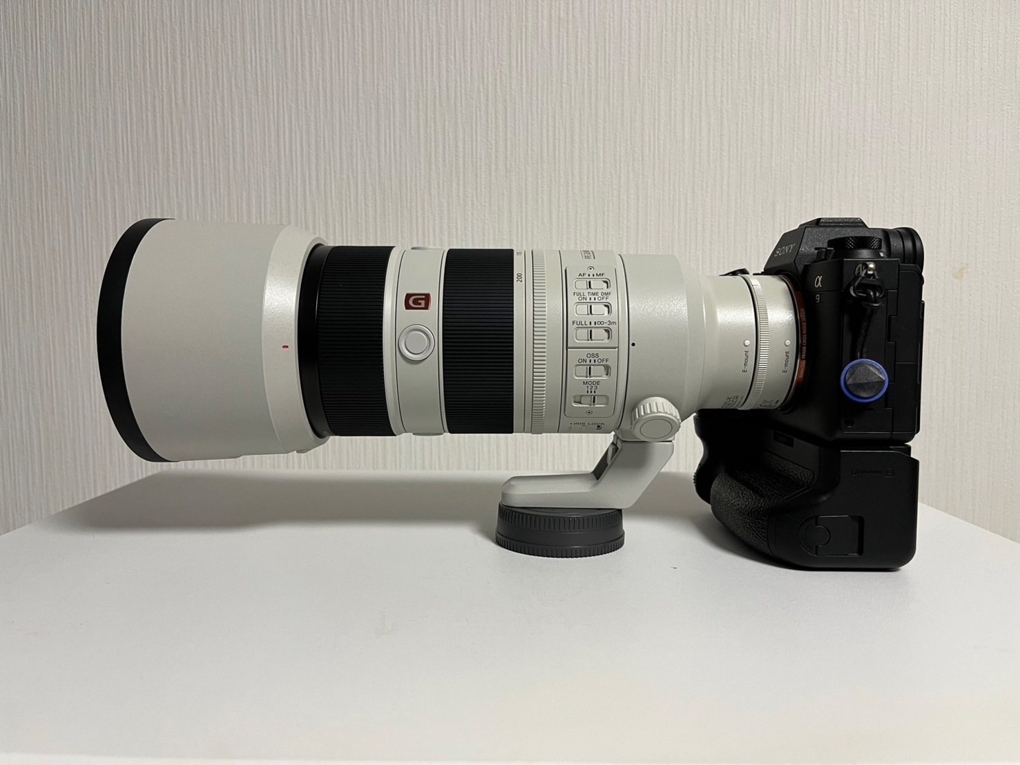 I型と比較】SONY FE 70-200mm F2.8 GM OSS II レビュー【ポート
