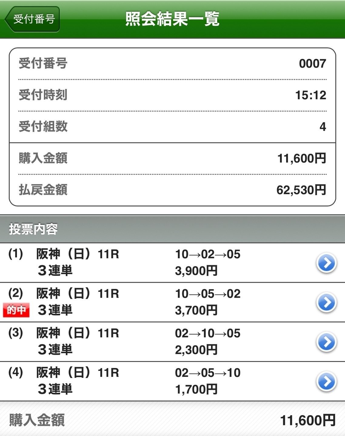 阪神11レース トウカイテイオー 単勝券 100円 阪神11レース トウカイテイオー 単勝券 100円 阪神11レース