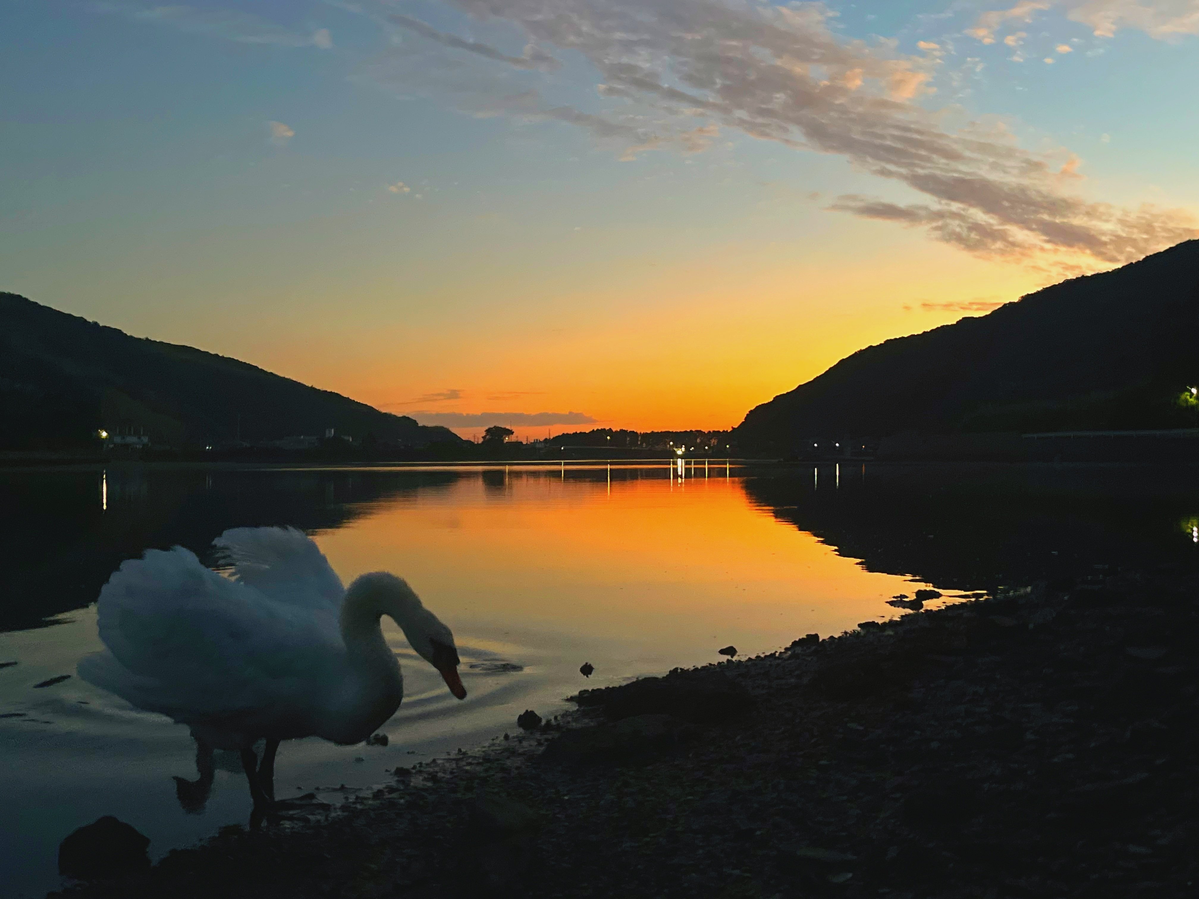 自己紹介Ⅱ ❁⃘｜ミヤノクラ