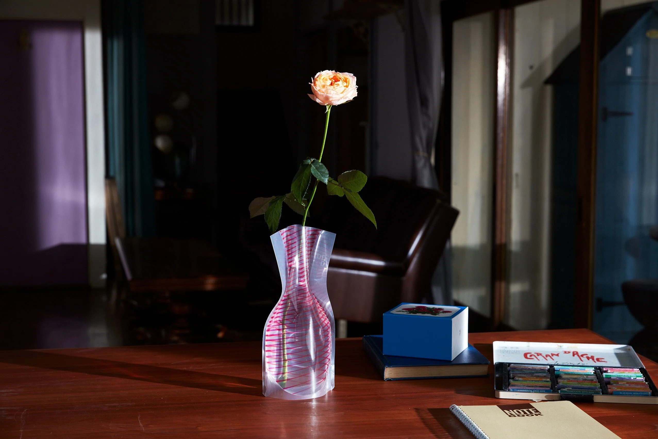 The 'D-BROS' Flower Vase: Born from Vinyl and Clad in Light