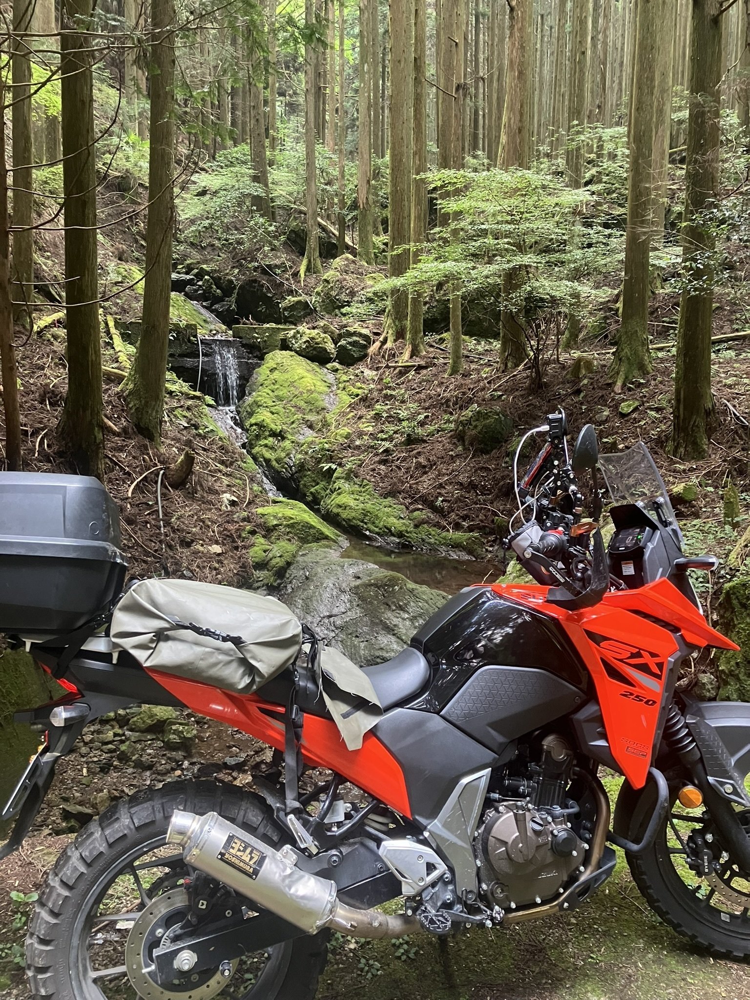 あらぎ島ツーリング ― Vストローム250SXで県道19号と林道宮川遠井線へ