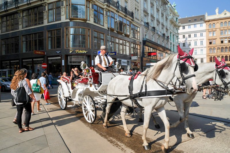 ウィーンの街歩き3（オーストリア海外旅行）｜Photographer non🐤