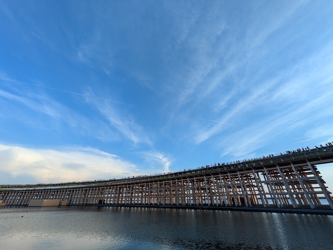 無名の6年間──藤本壮介氏、万博・大屋根リングを生んだ建築家の原点