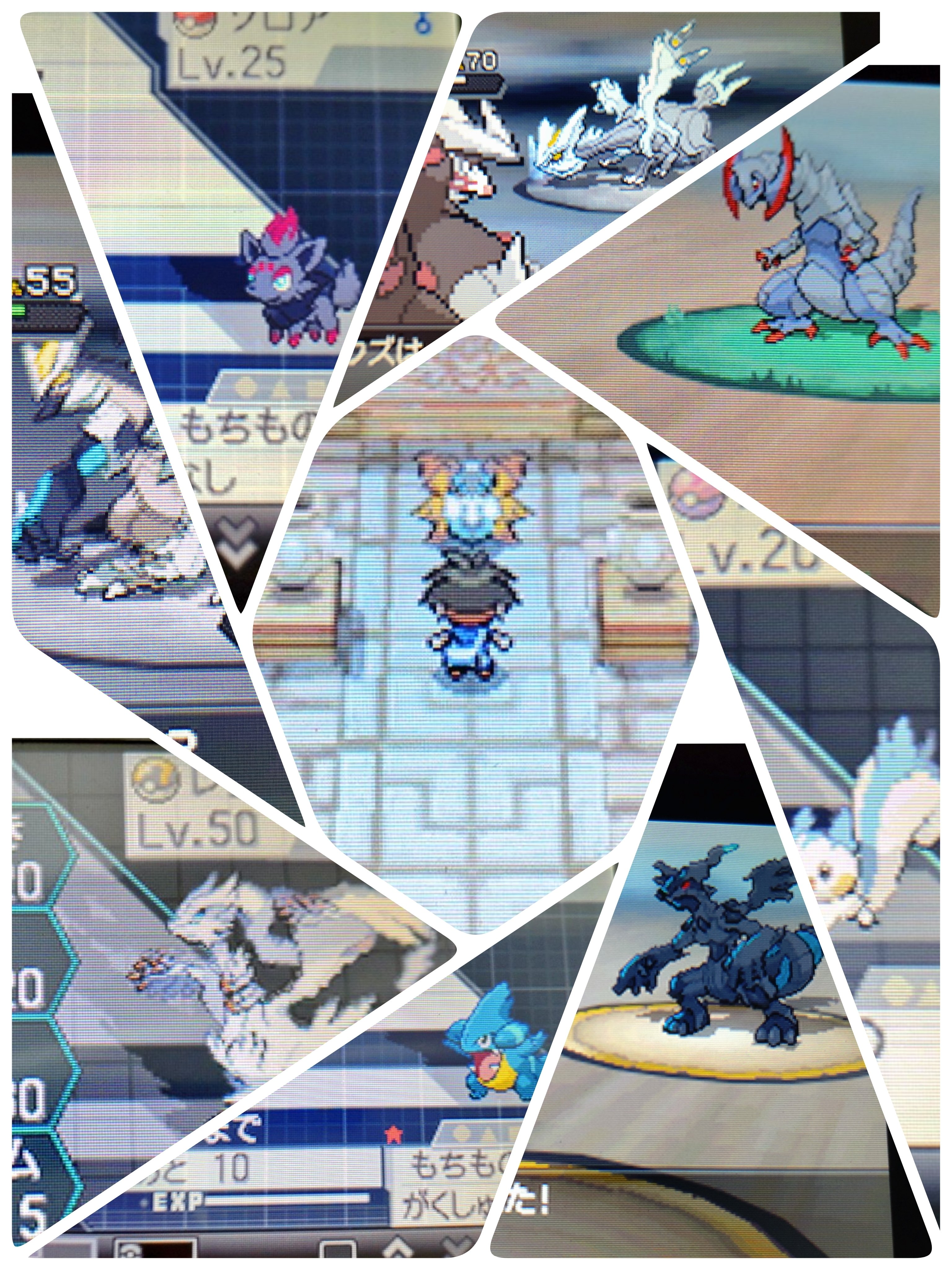 ポケモンバンク]サービス終了前に今から過去作を始めたい人へ③5世代｜がみ