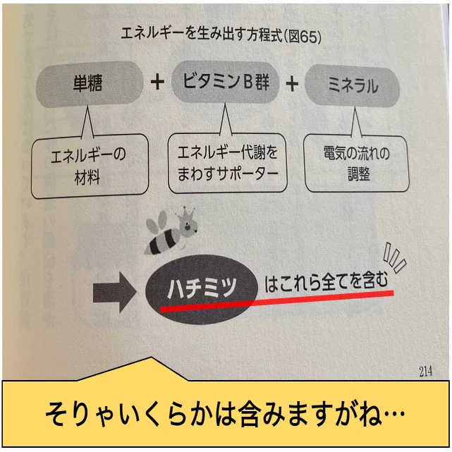 ハチミツに栄養が少ない理由 / 「自然治癒はハチミツから（崎谷博征