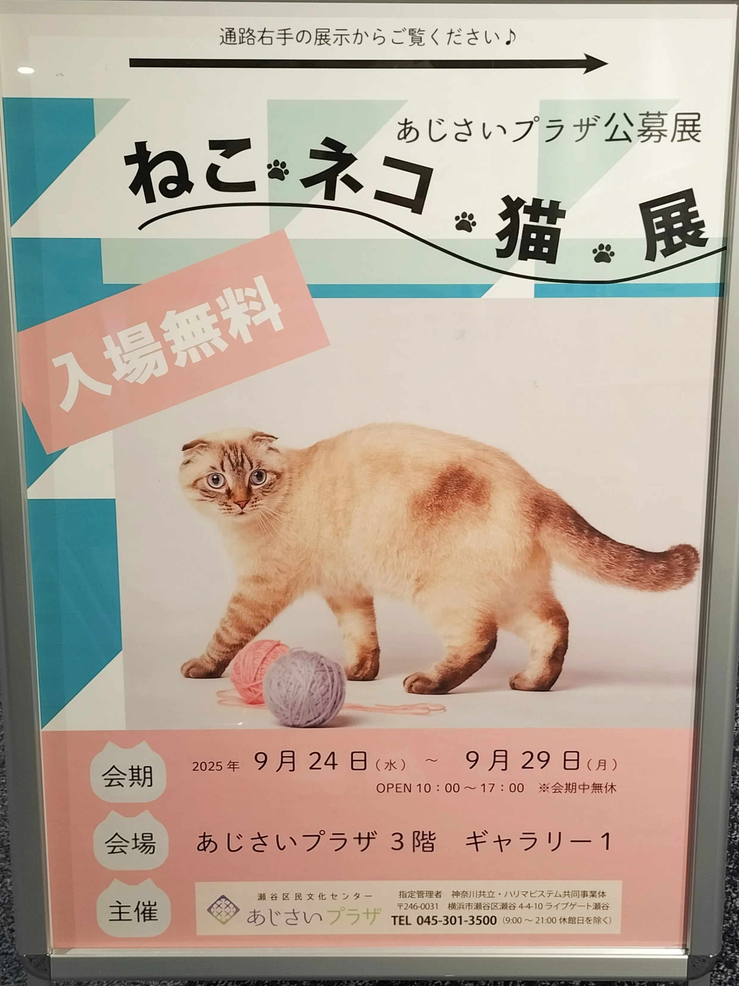 猫がいる、 ニャーン ！｜千人千域