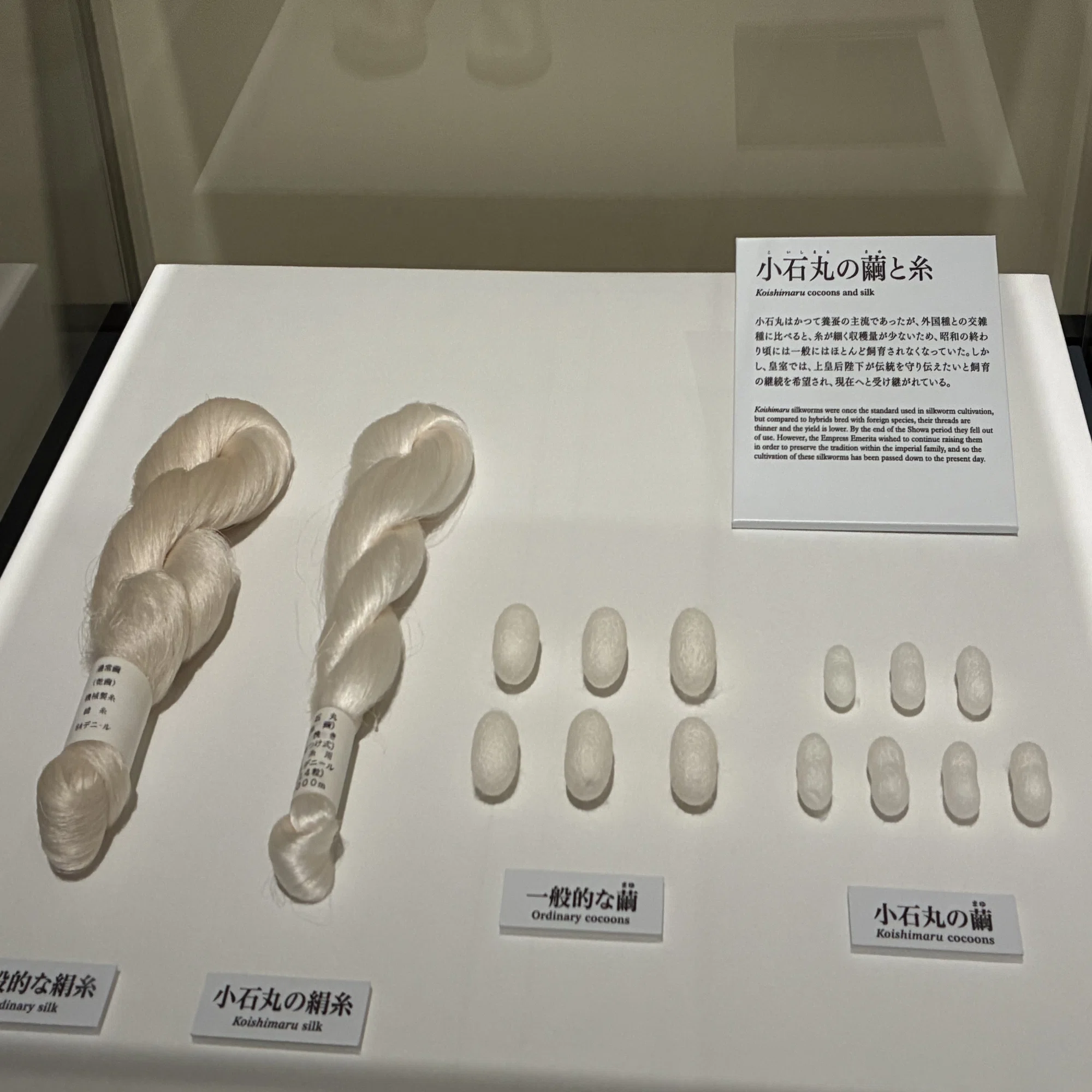 正倉院THE SHOW】現代に甦ったシルクロードの宝物｜あの迷探偵 | 星野 