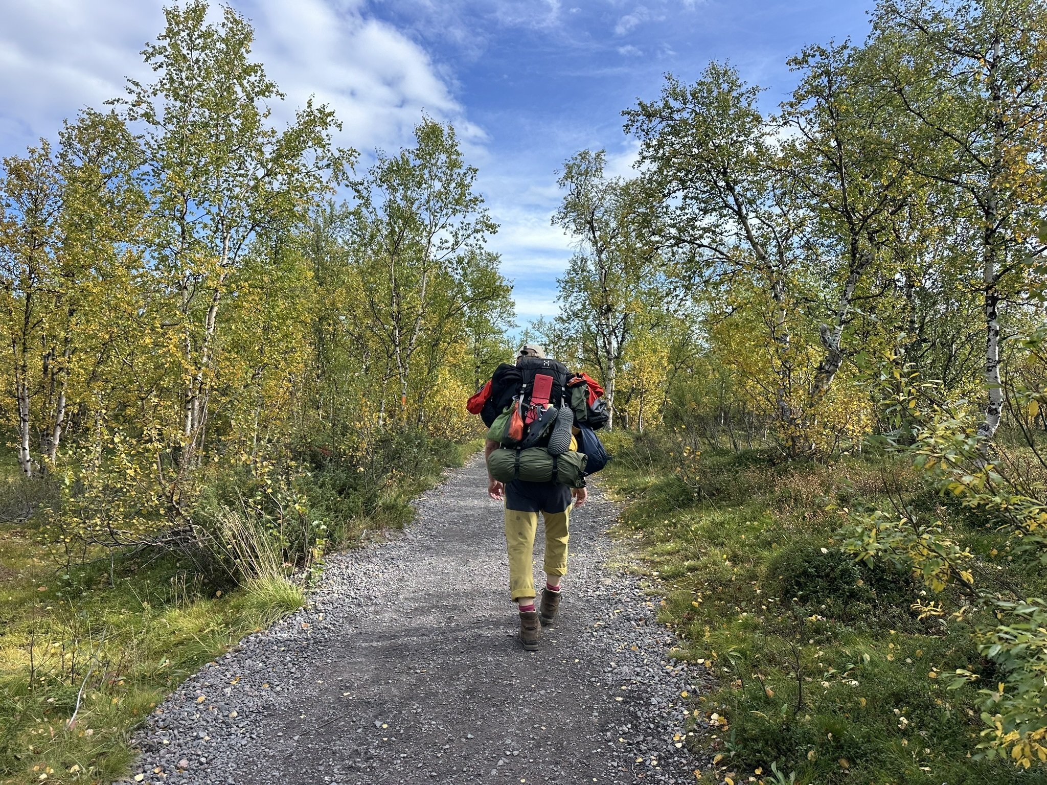 秋の散歩道 秋の散歩道 - マール社