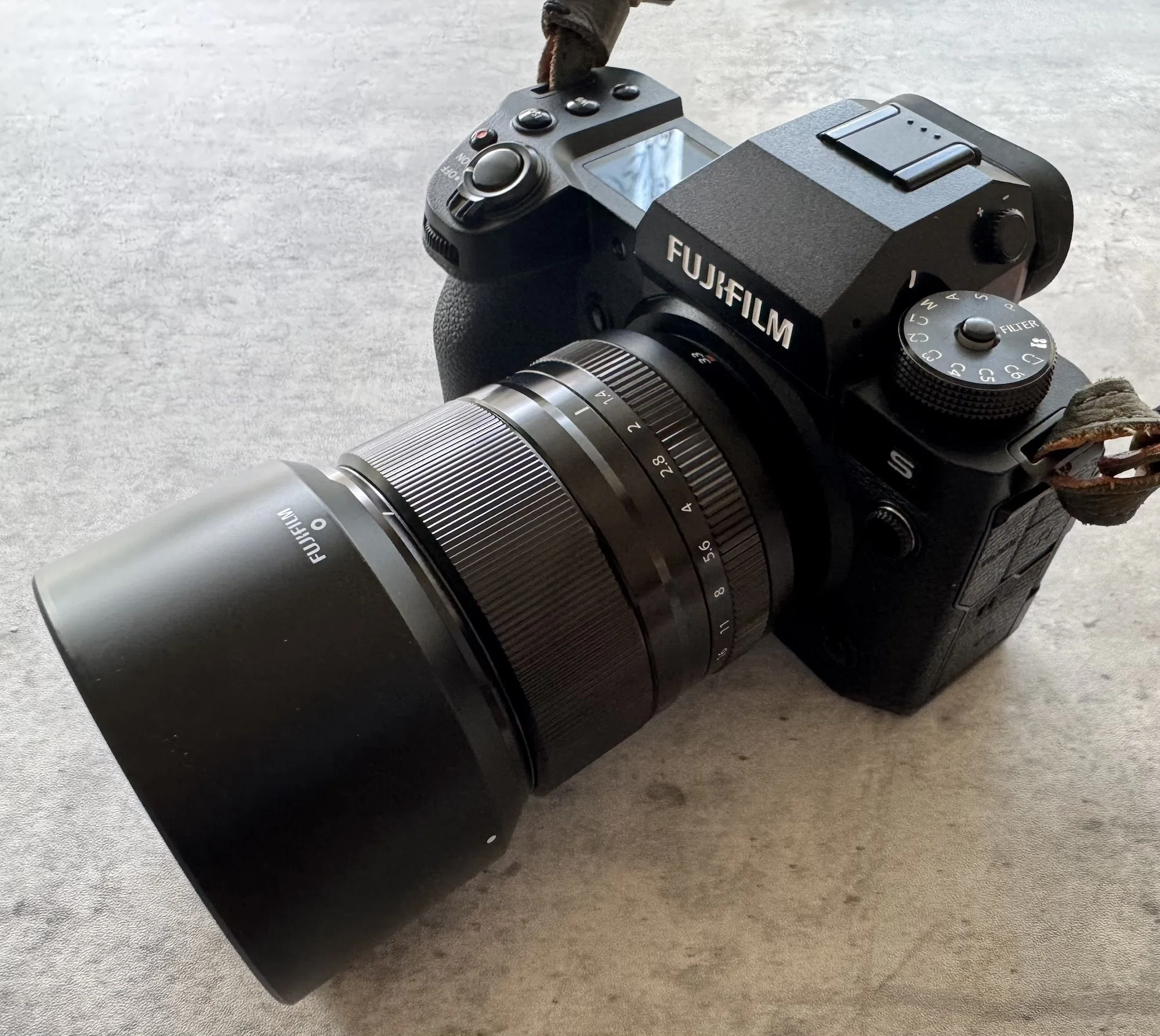FUJIFILM X-H2Sを導入しました｜猫写真家 あおいとり