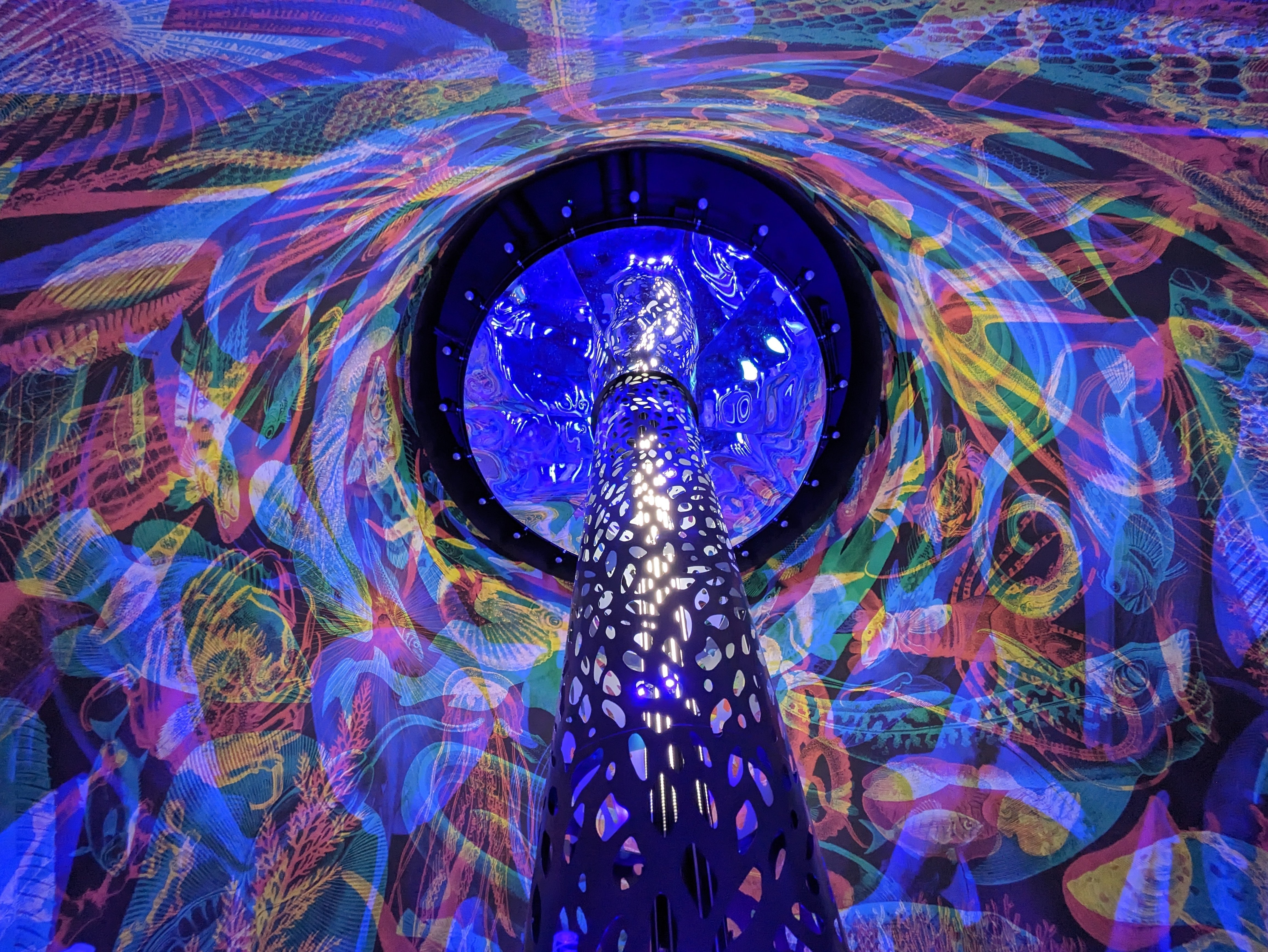 大阪・関西万博】モナコパビリオンは別館まで見逃せない！｜朱月-akatsuki-