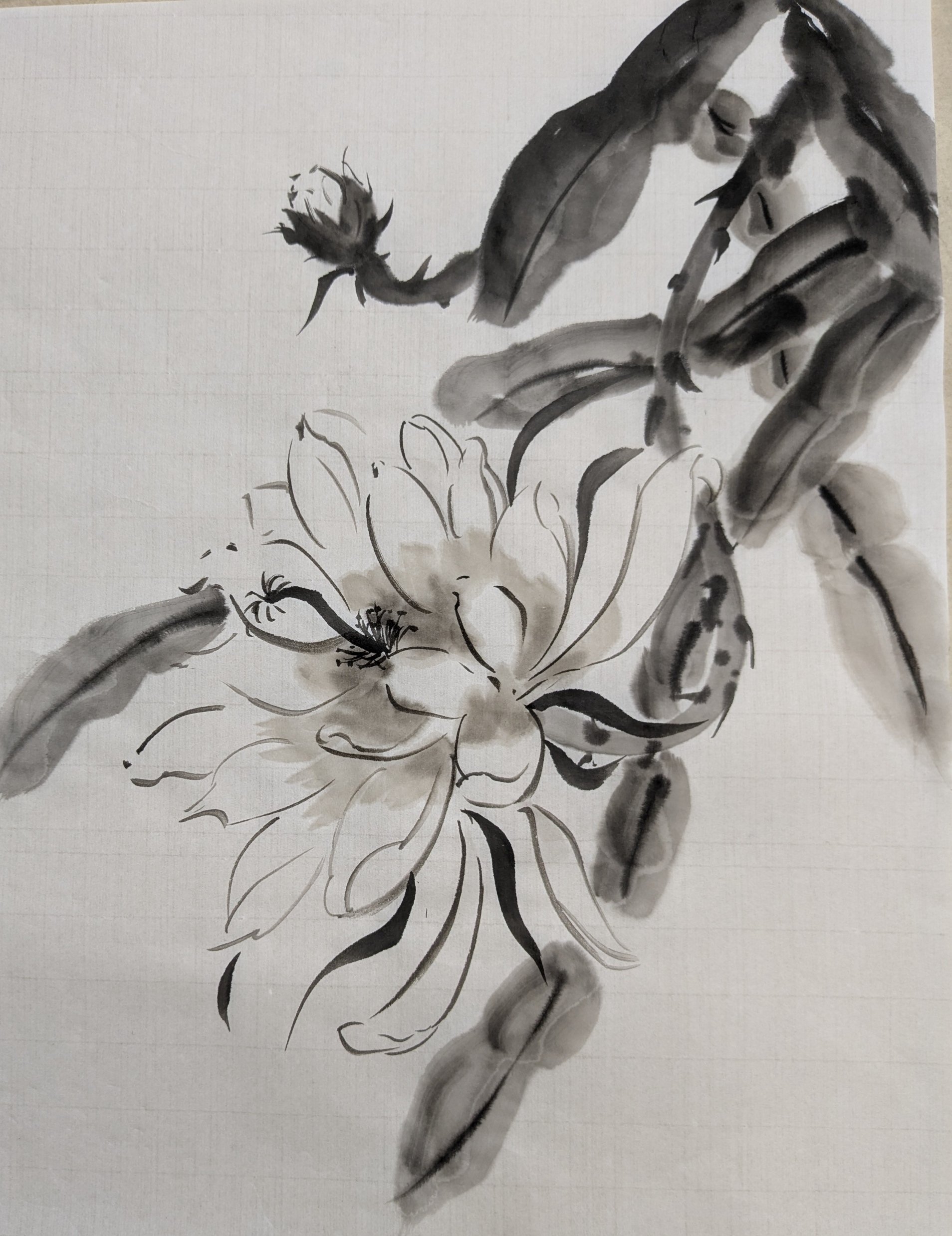 日本画(30)　月下美人 Yahoo!オークション - 古い日本画 原田 裕子 月下美人 画寸41×32 額寸