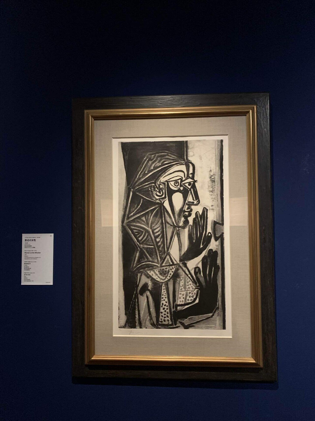 パブロ・ピカソ登場 !! ”の巻｜なすにきび